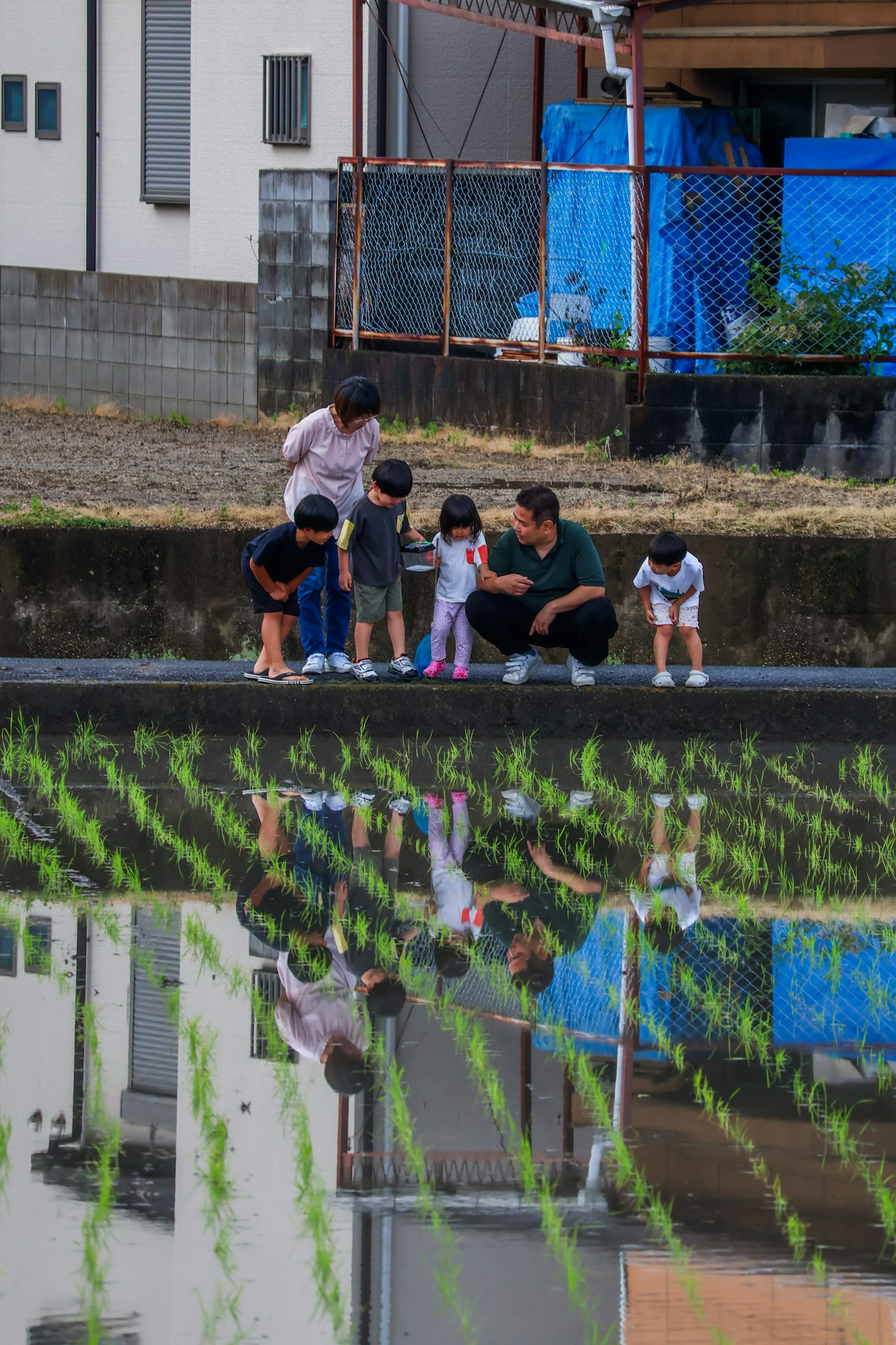 Familia y niños sentados junto a un campo de arroz reflejándose en el agua