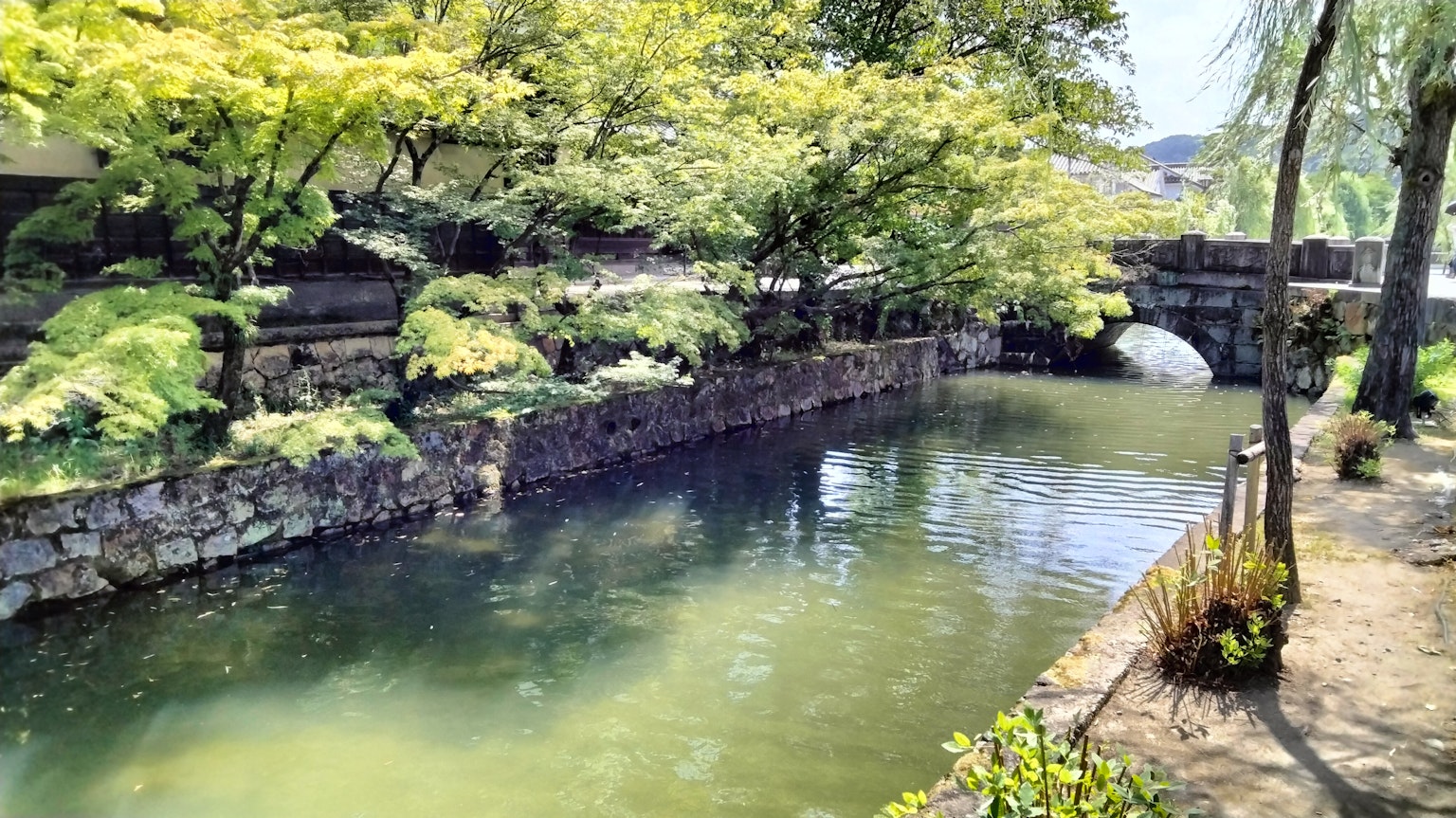 Escena de río serena rodeada de exuberante vegetación con un puente de piedra