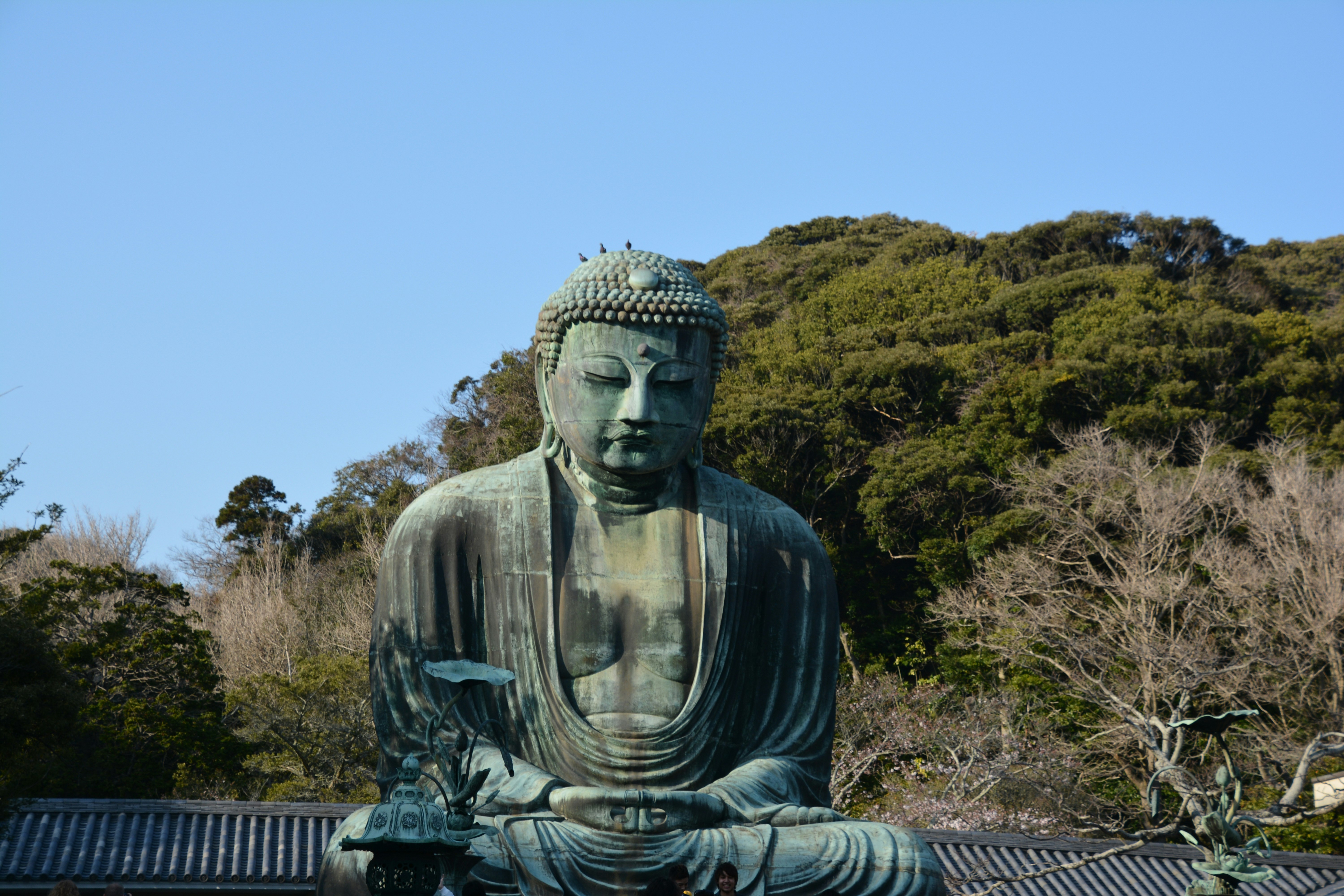 Grande statua del Buddha in bronzo con vegetazione sotto un cielo azzurro