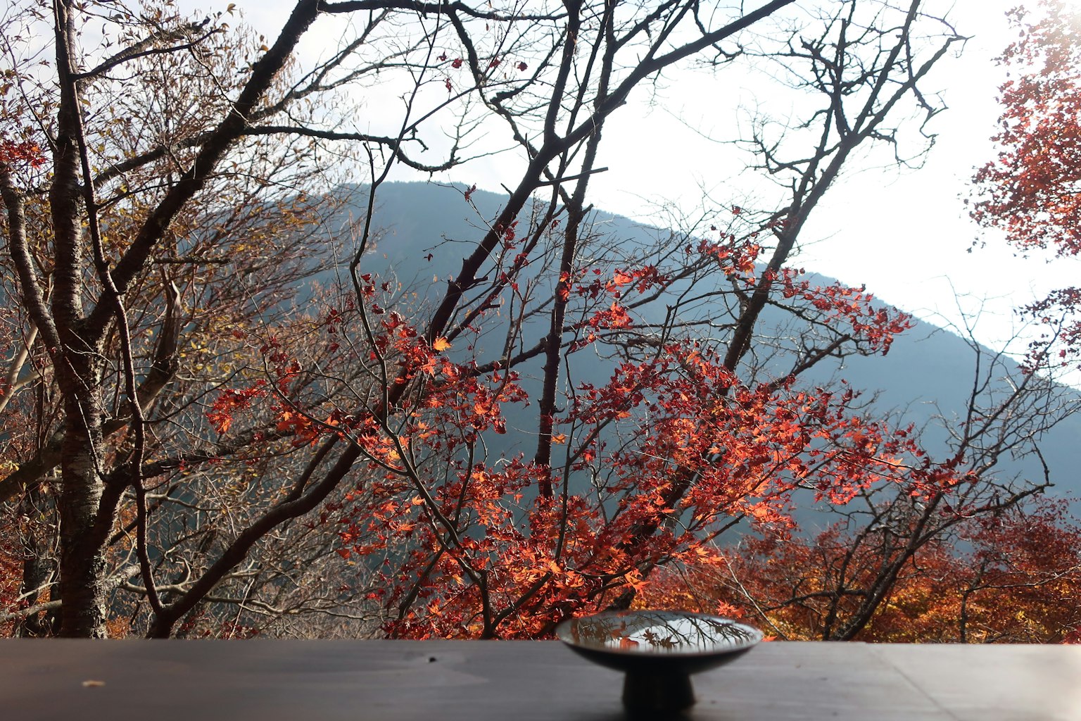 秋季风景，透过树木看到五彩斑斓的叶子和山景