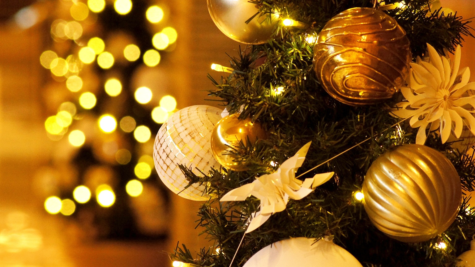 Cận cảnh cây thông Noel với đồ trang trí vàng và trắng tạo không khí ấm áp