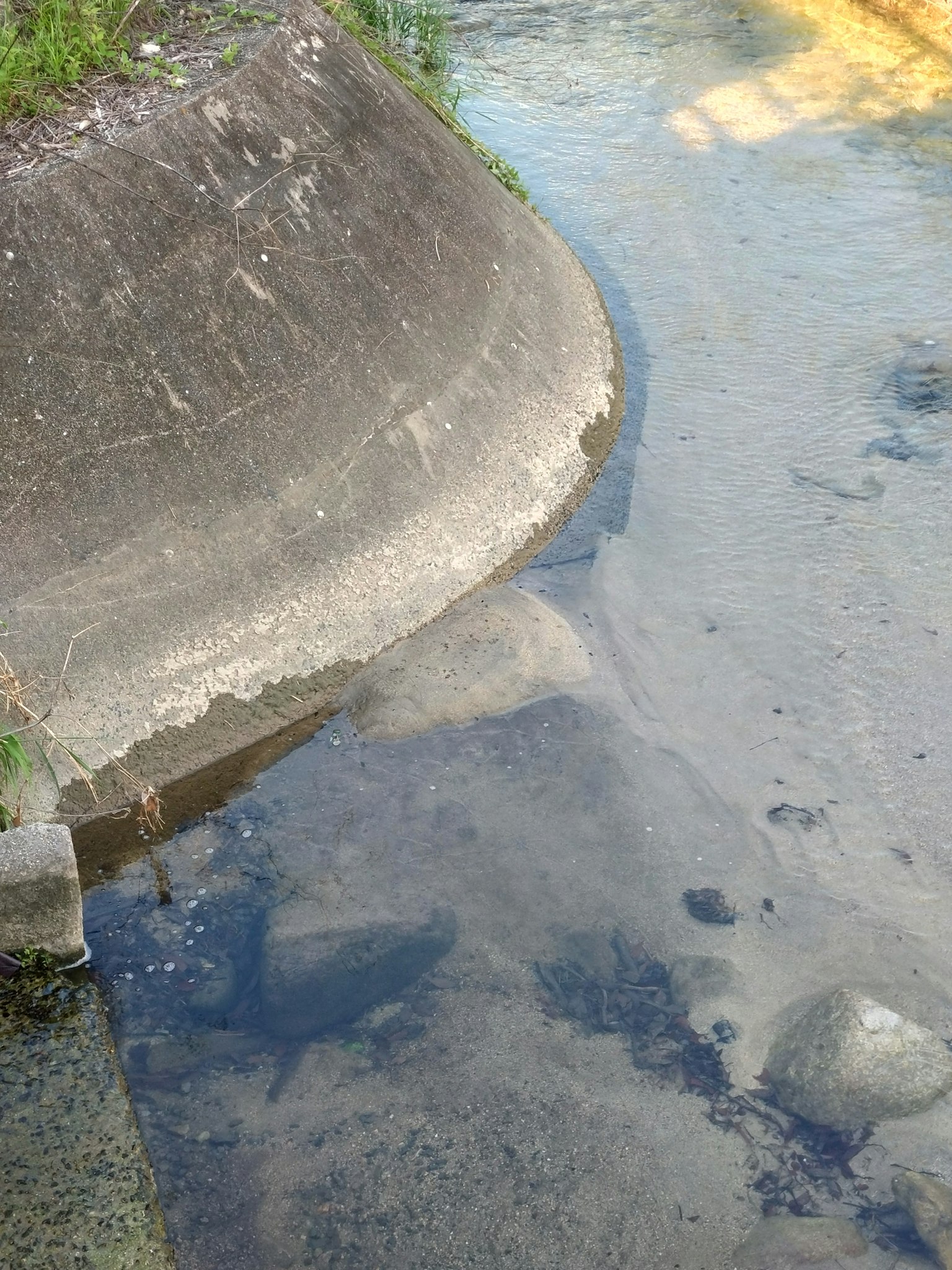Paysage avec une structure en béton et des pierres visibles dans l'eau