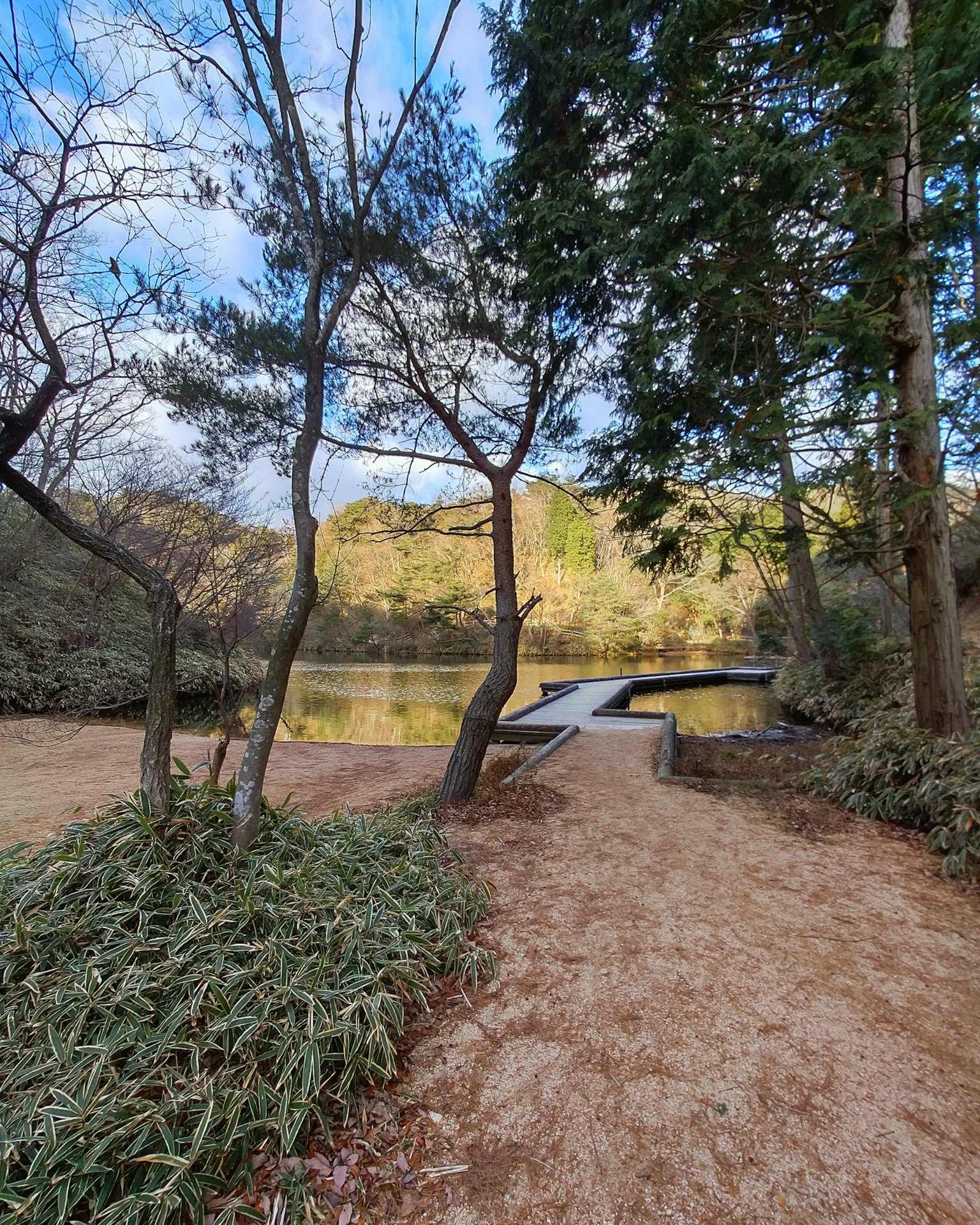 평화로운 호수 옆의 산책로와 나무들