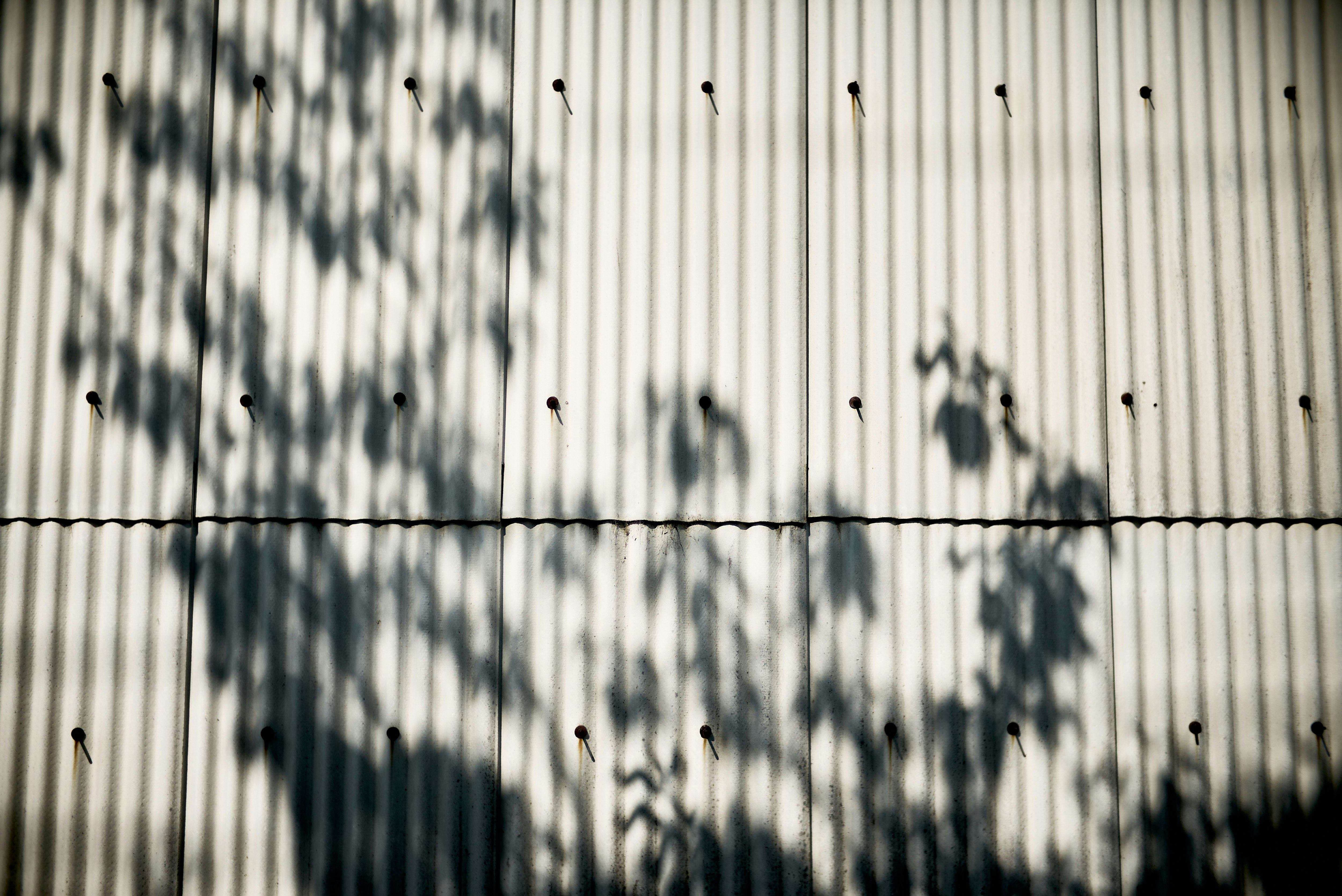 sombras de árboles sobre una pared con rayas verticales