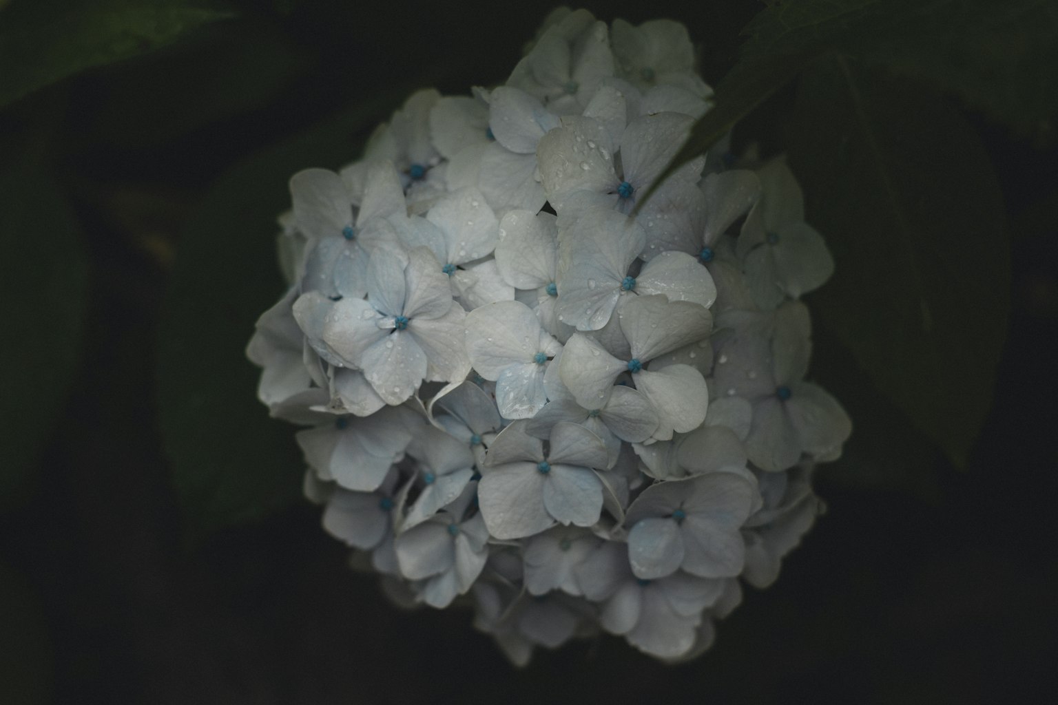 photo-lnU21PGh9dWItIEie6fw-image