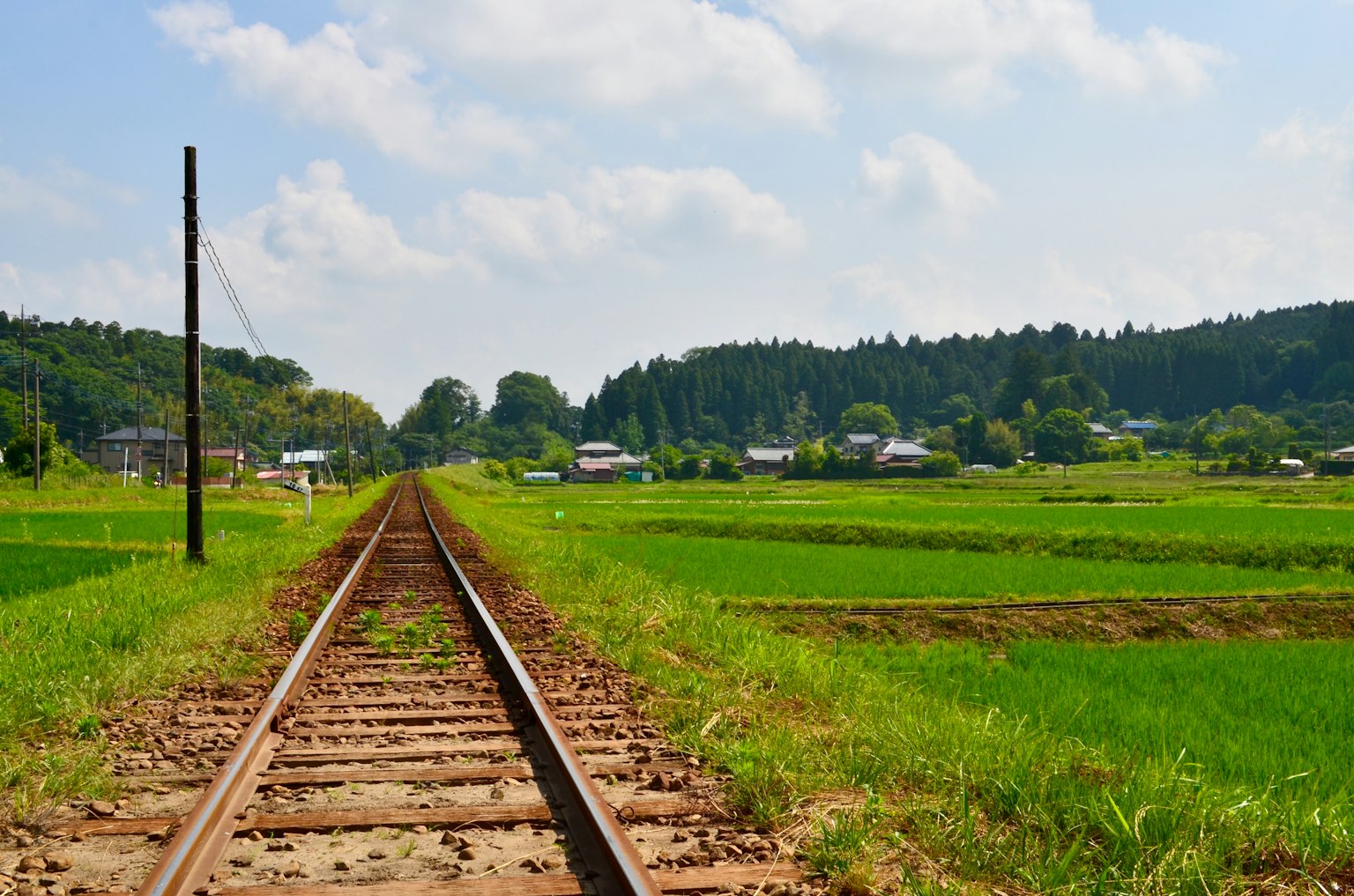 藍天下稻田旁的鐵路軌道