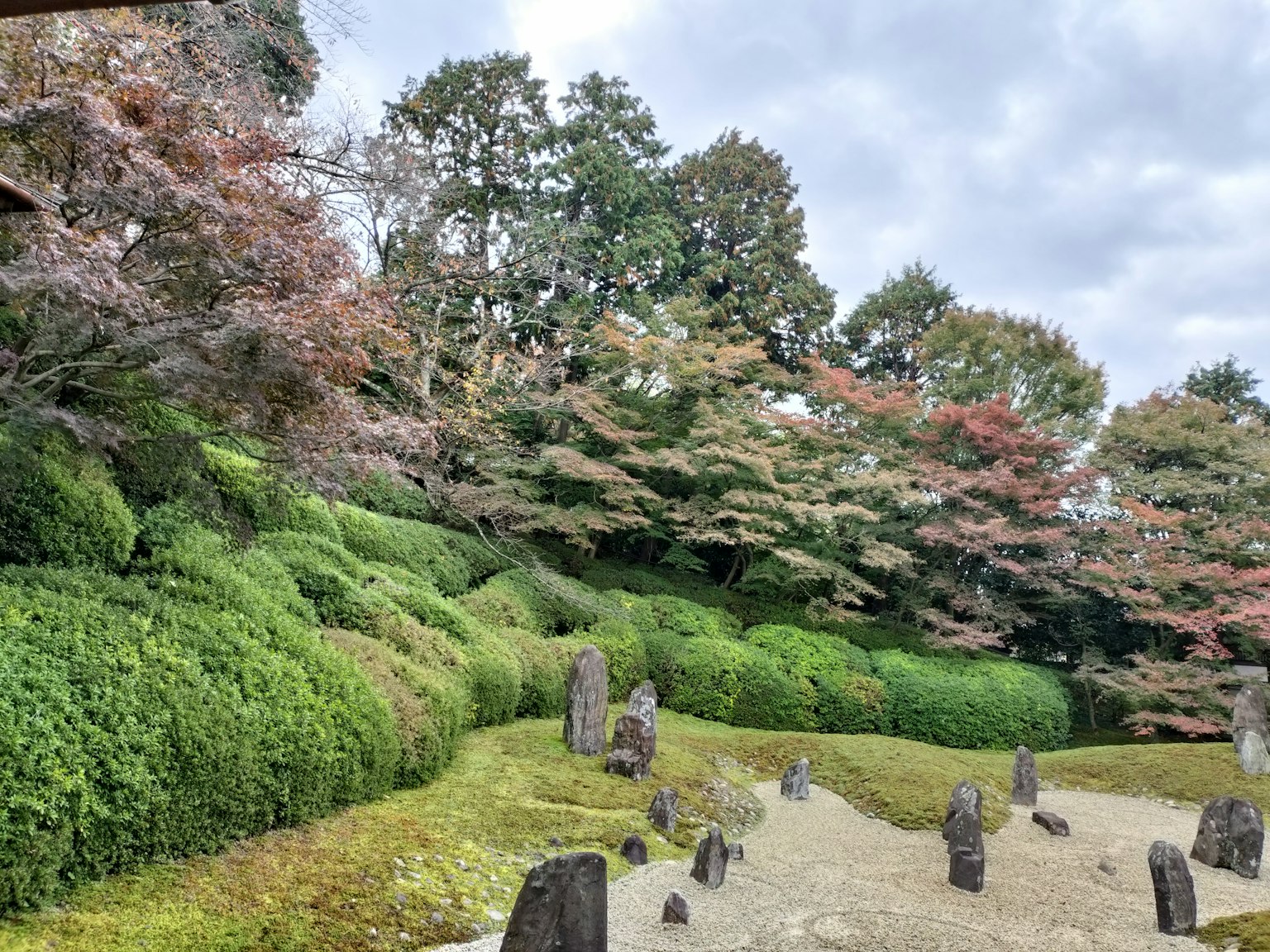 Vista panoramica di un giardino con vegetazione lussureggiante e foglie autunnali