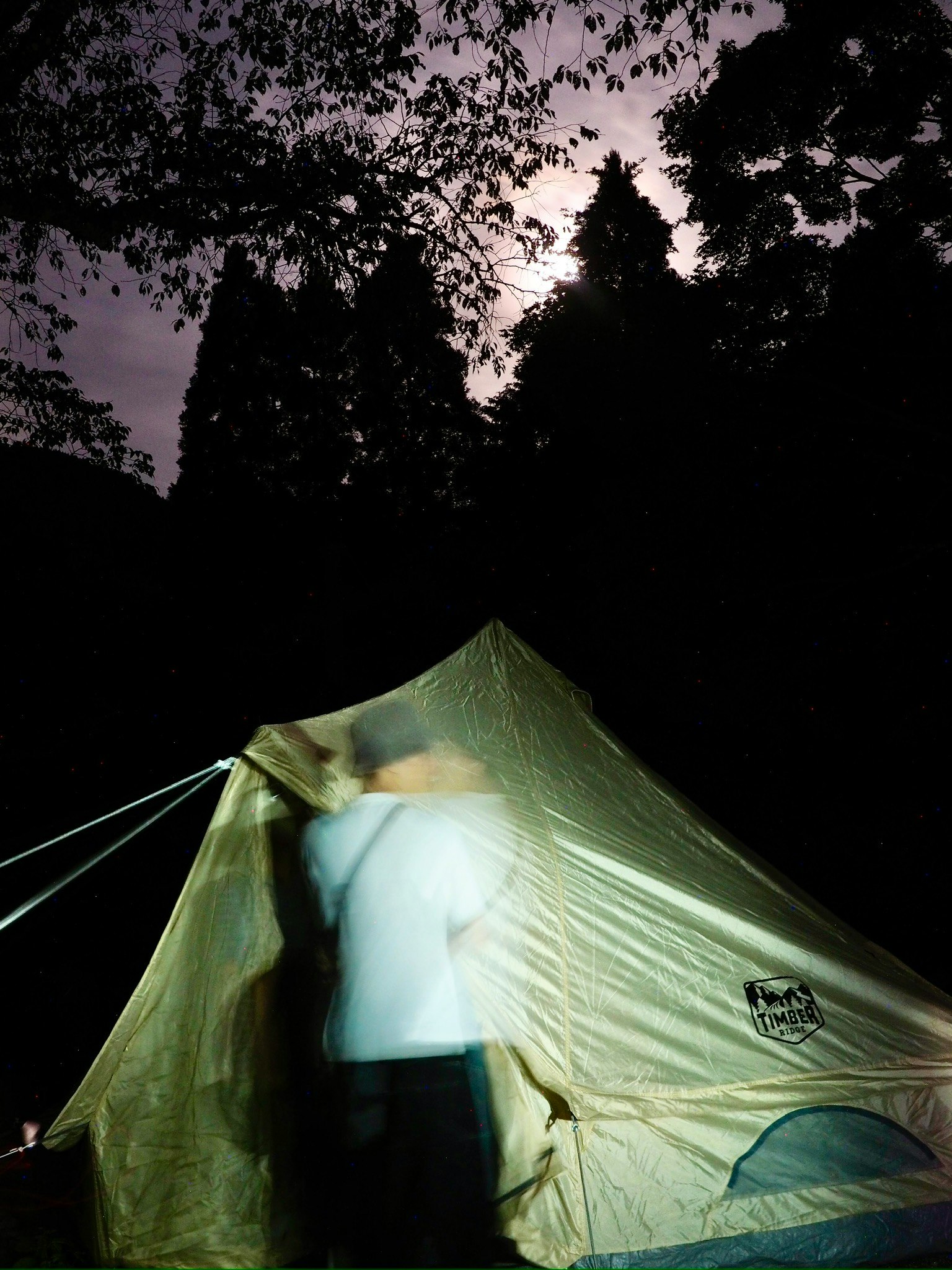 夜の森で光るテントと人影