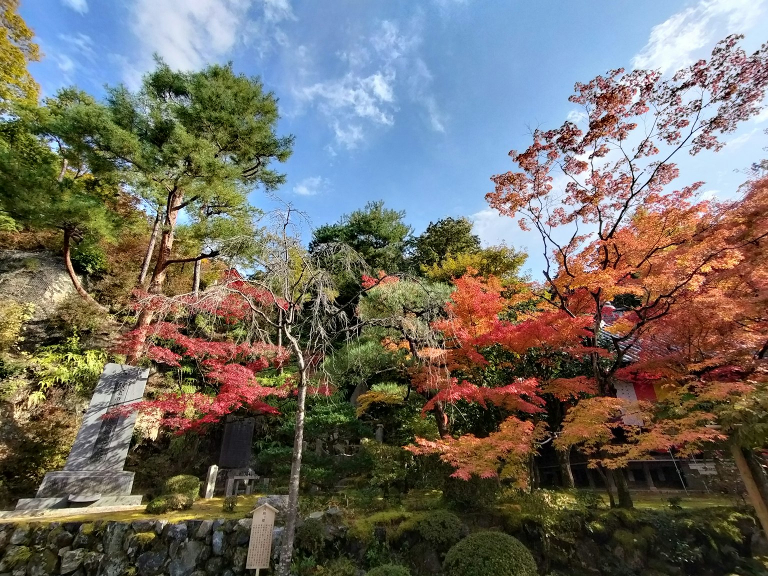 Impresionante follaje otoñal en un paisaje de jardín sereno