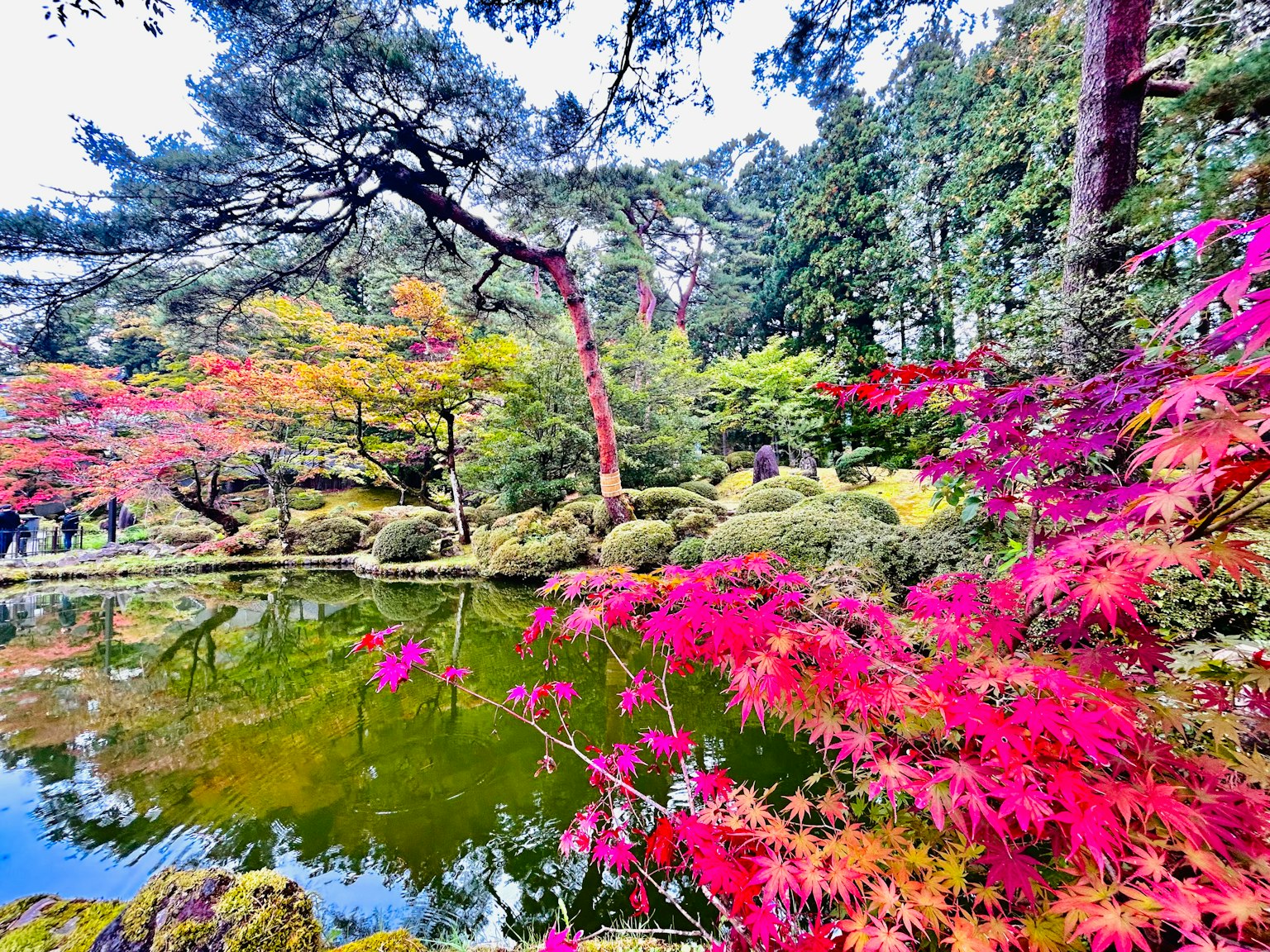 สวนญี่ปุ่นที่สวยงามในฤดูใบไม้ร่วงมีใบไม้หลากสีและบ่อน้ำสงบ