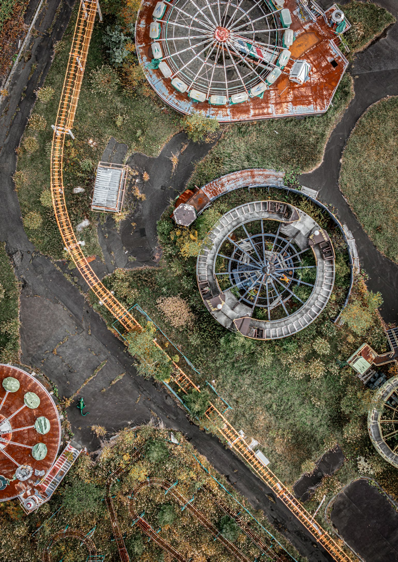 photo-lpBOYKKf8g9HMinsKZ02-image