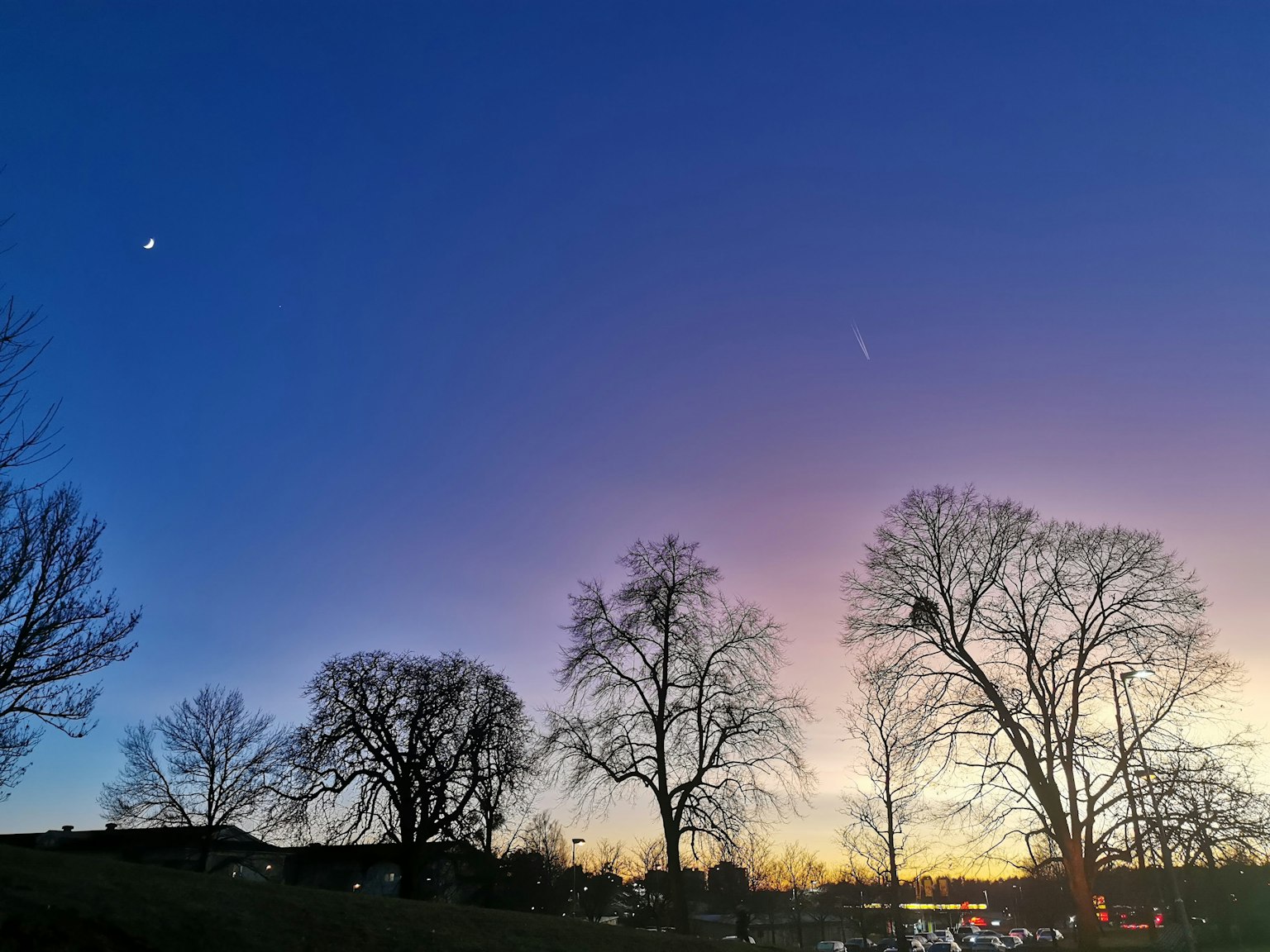 Cielo al tramonto con luna e stella luminose grandi alberi in silhouette