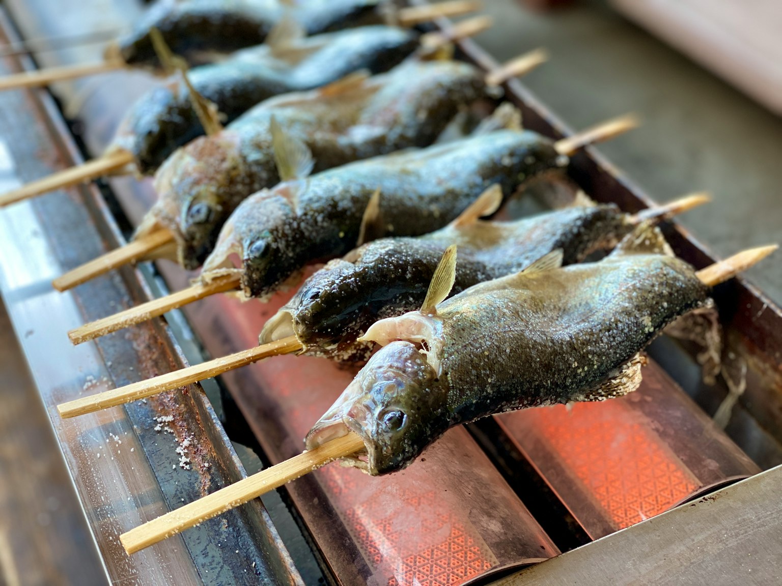 Pescados a la parrilla ensartados en palillos alineados