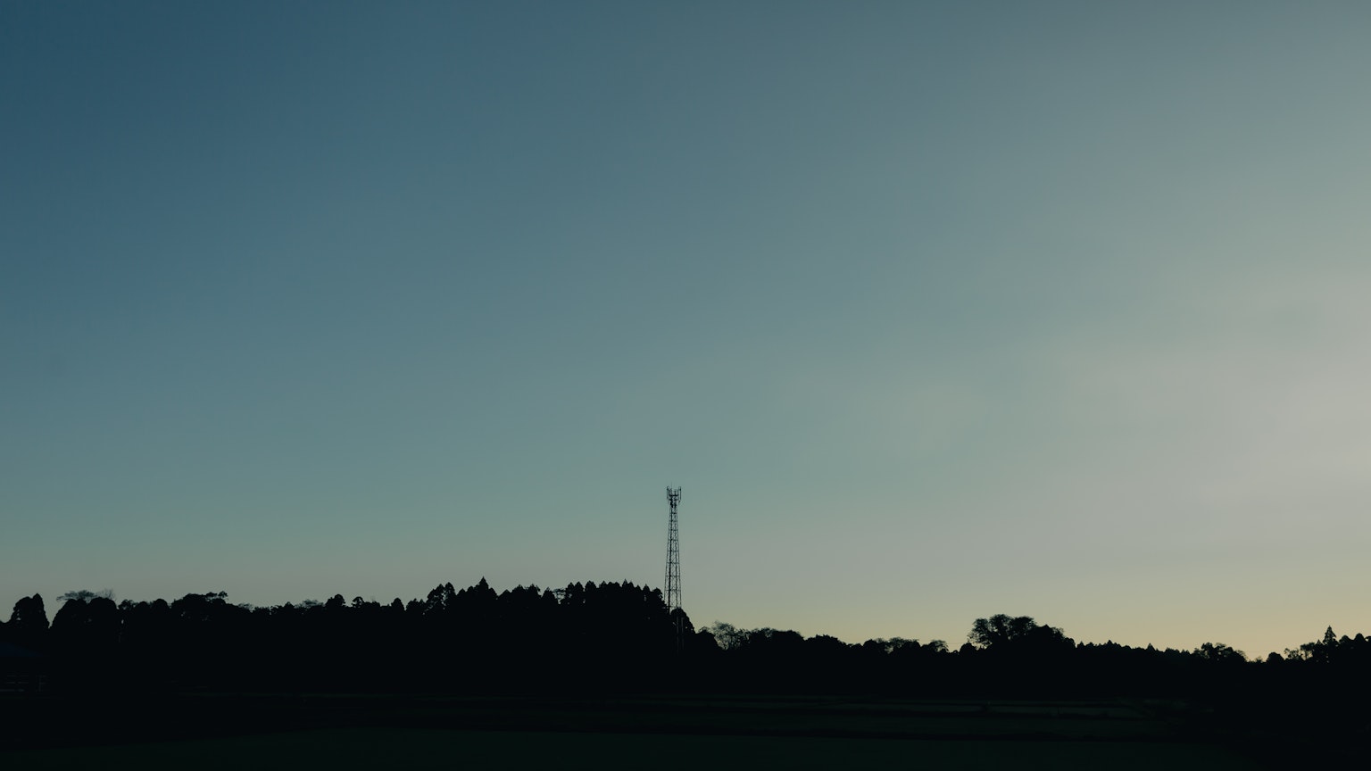 Silhouette of trees against a blue sky with a communication tower in the background