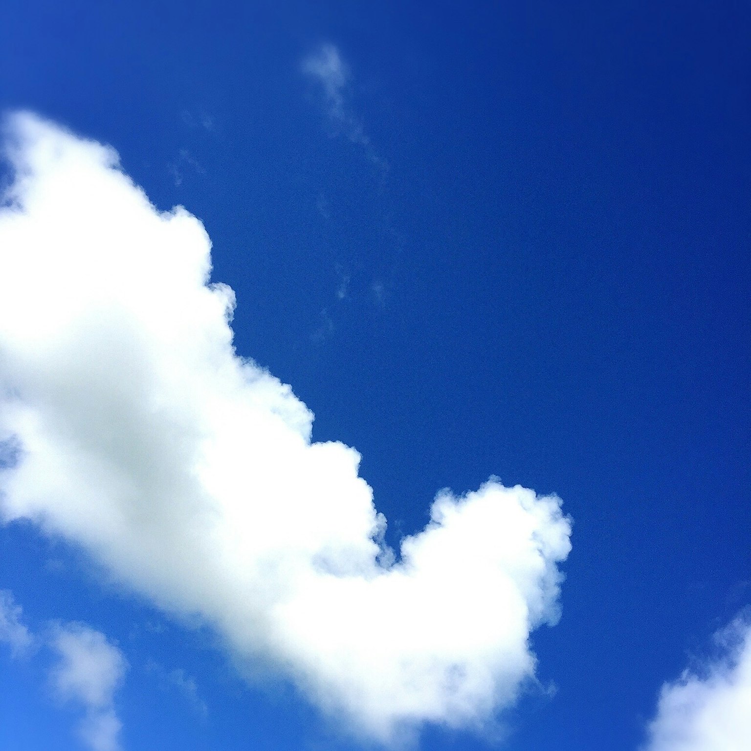 Schöner Blick auf weiße Wolken, die in einem blauen Himmel schweben