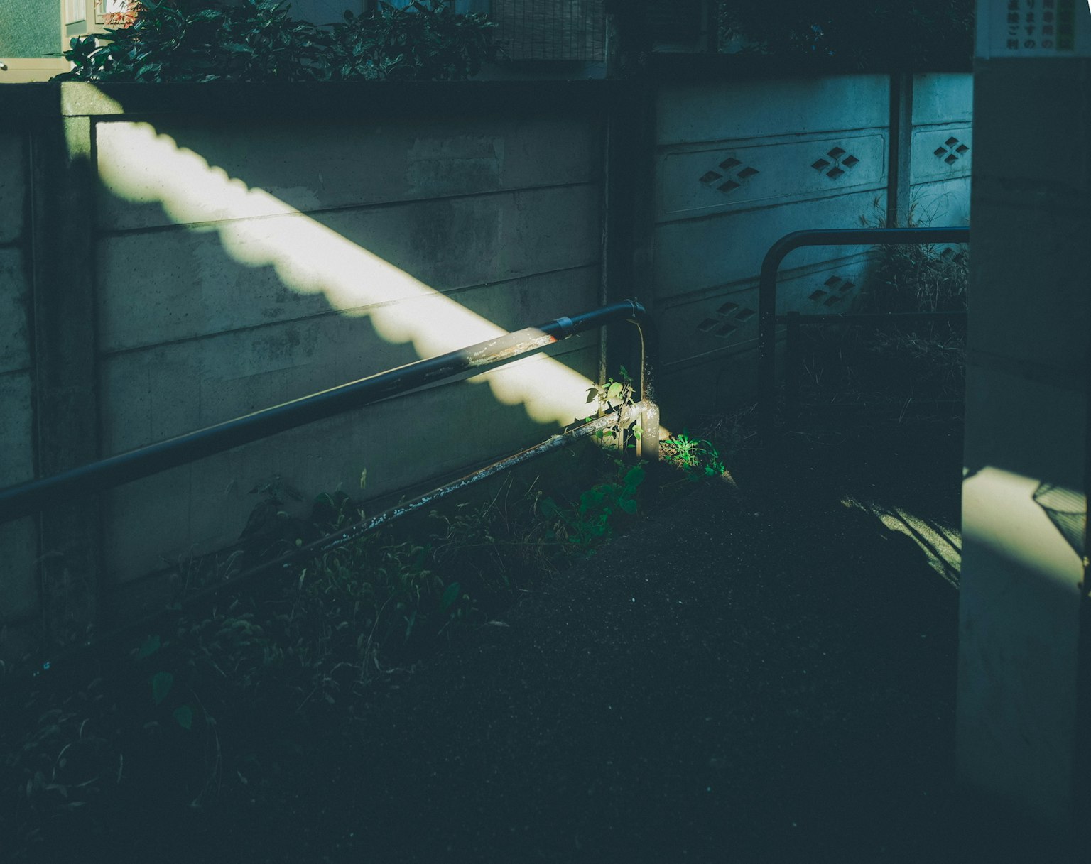 Une partie d'un jardin avec des ombres frappantes projetées par la lumière sur un mur et des tuyaux