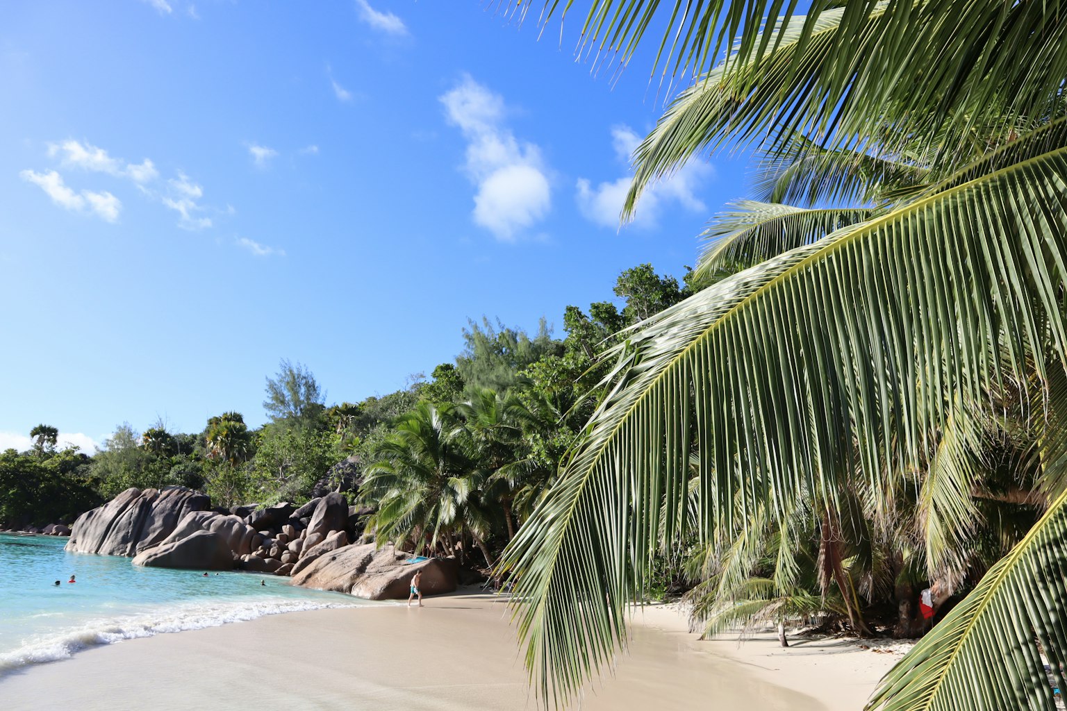 Malersiche Strandansicht mit blauem Himmel und grünen Palmen