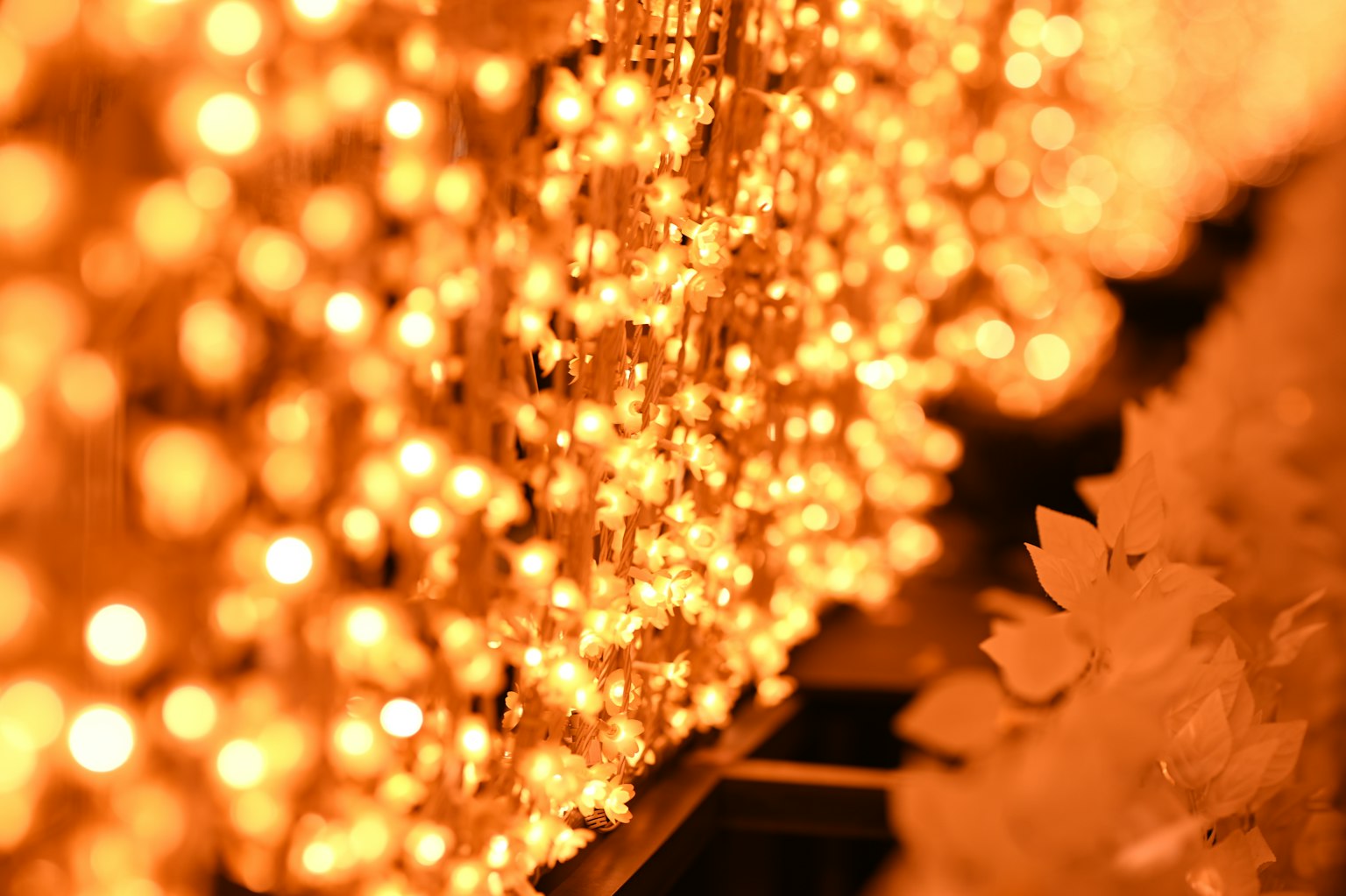 Decorative wall of glowing orange lights