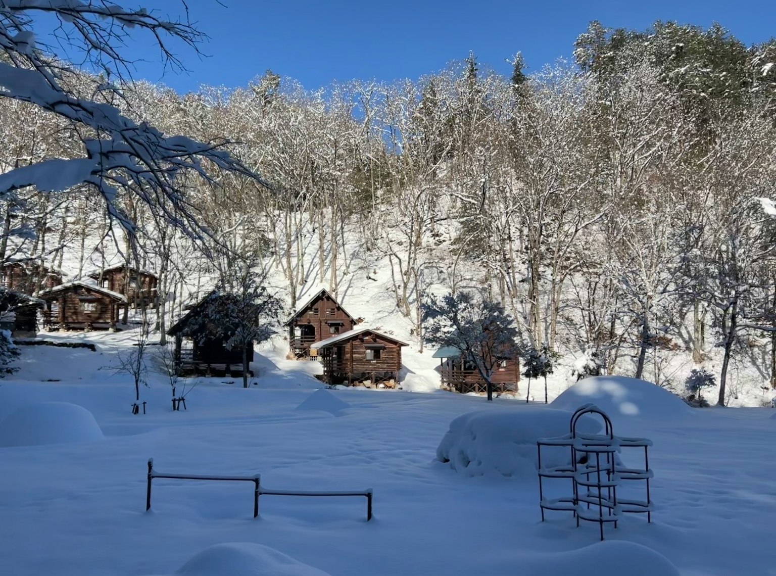 Von Schnee bedeckte Hütten zwischen Bäumen