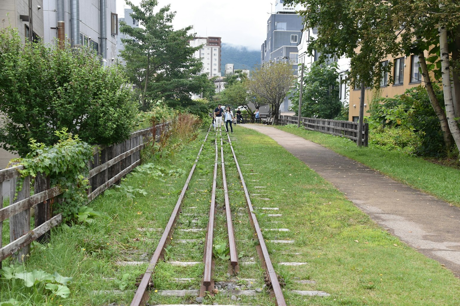 铁轨旁边的绿色草地和周围建筑