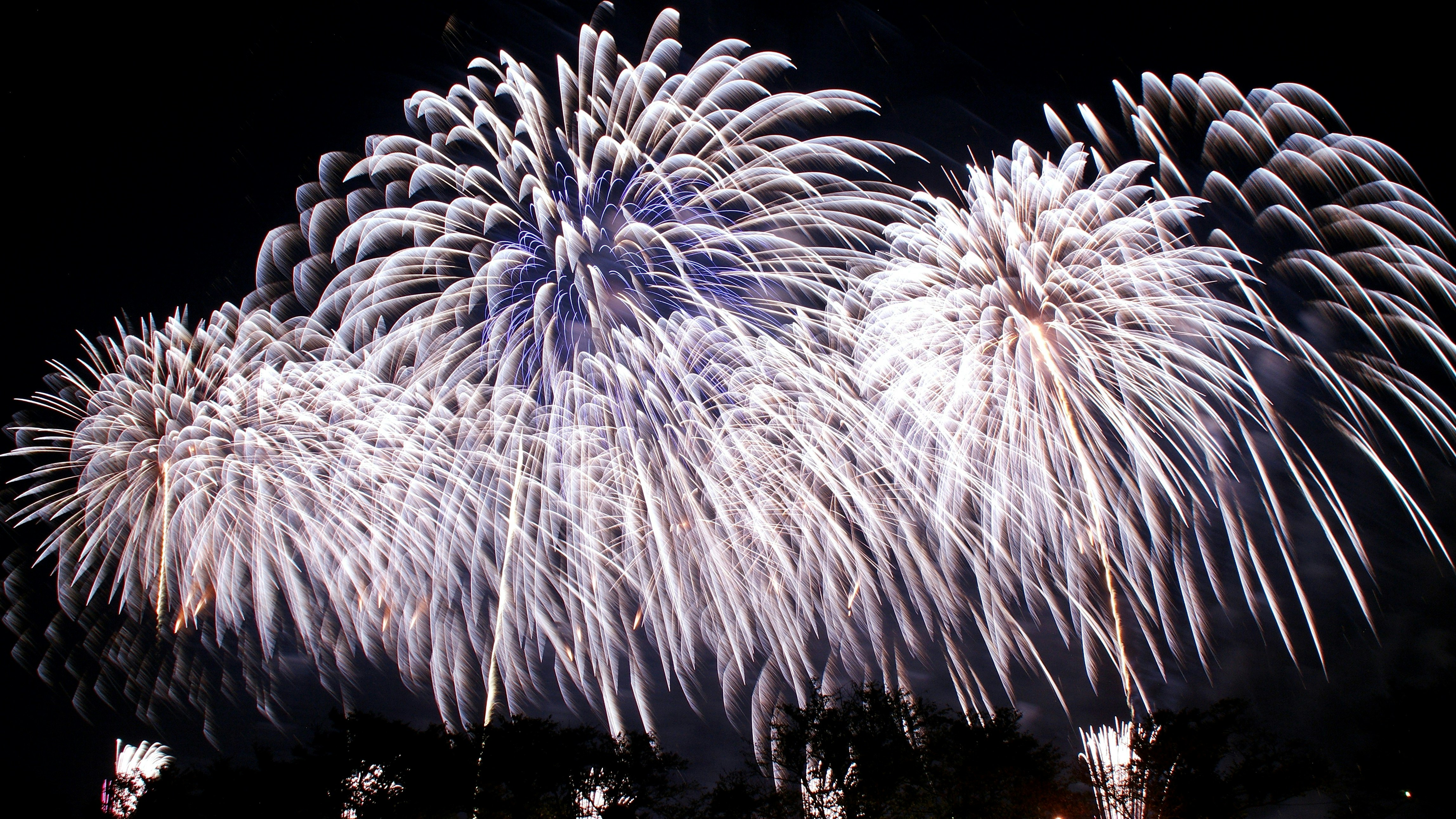 夜空に咲く大輪の花火