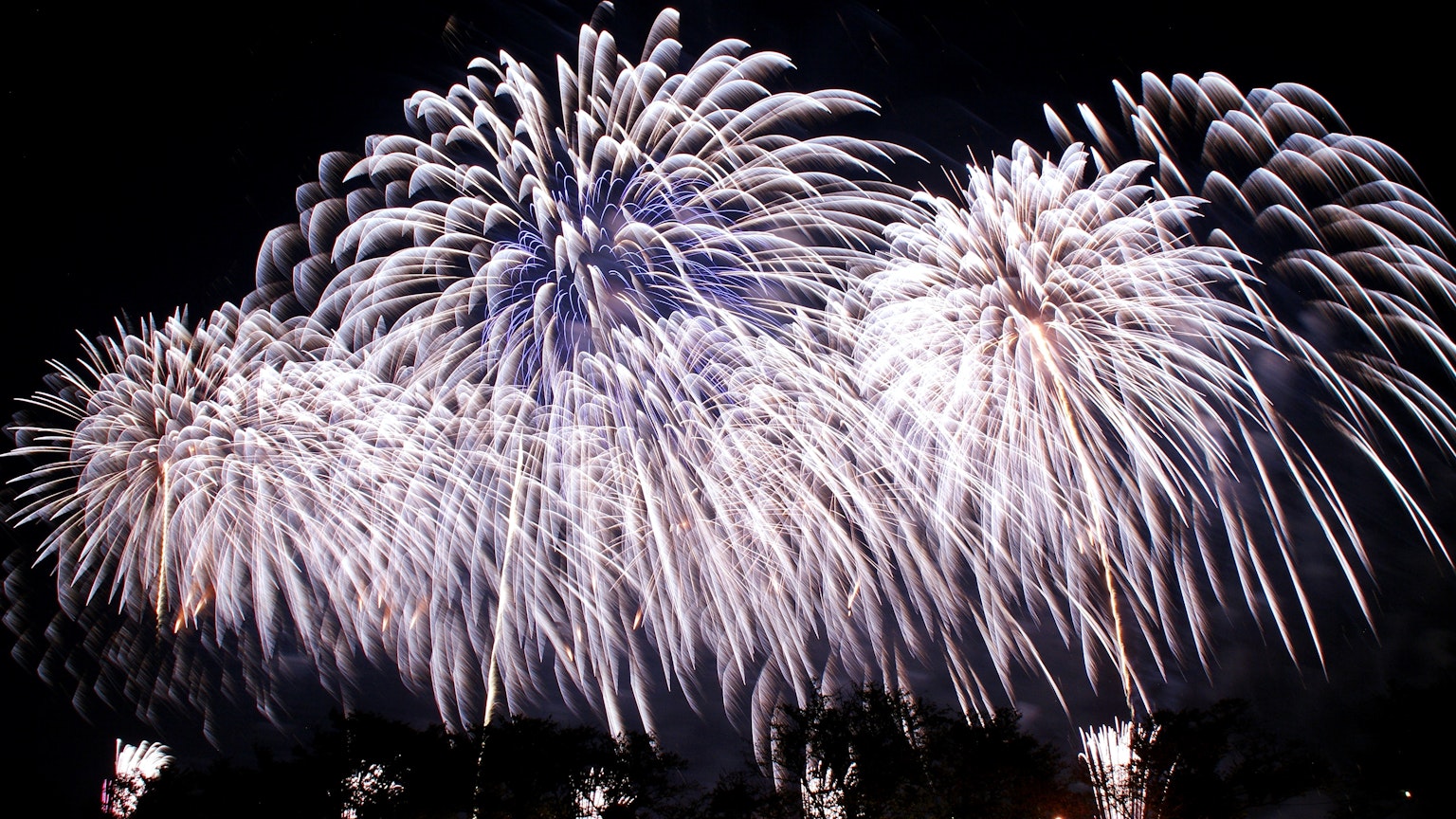 Un gruppo di fuochi d'artificio bianchi che illuminano il cielo notturno
