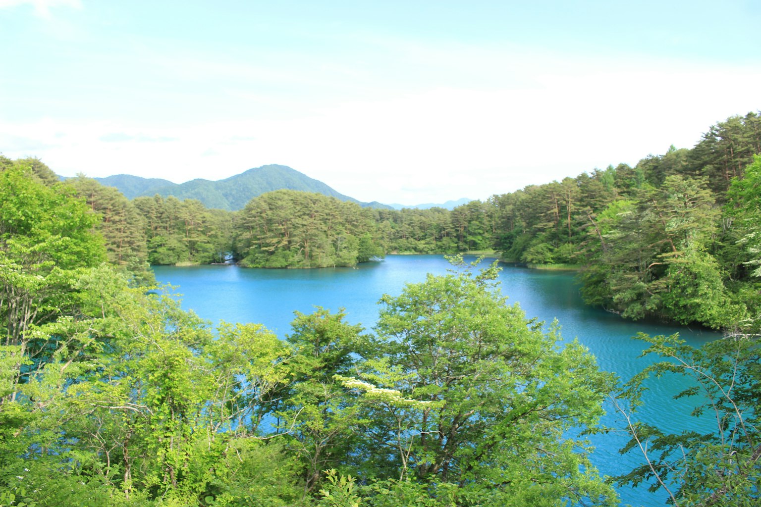 蓝色湖泊与郁郁葱葱的绿色树木的风景