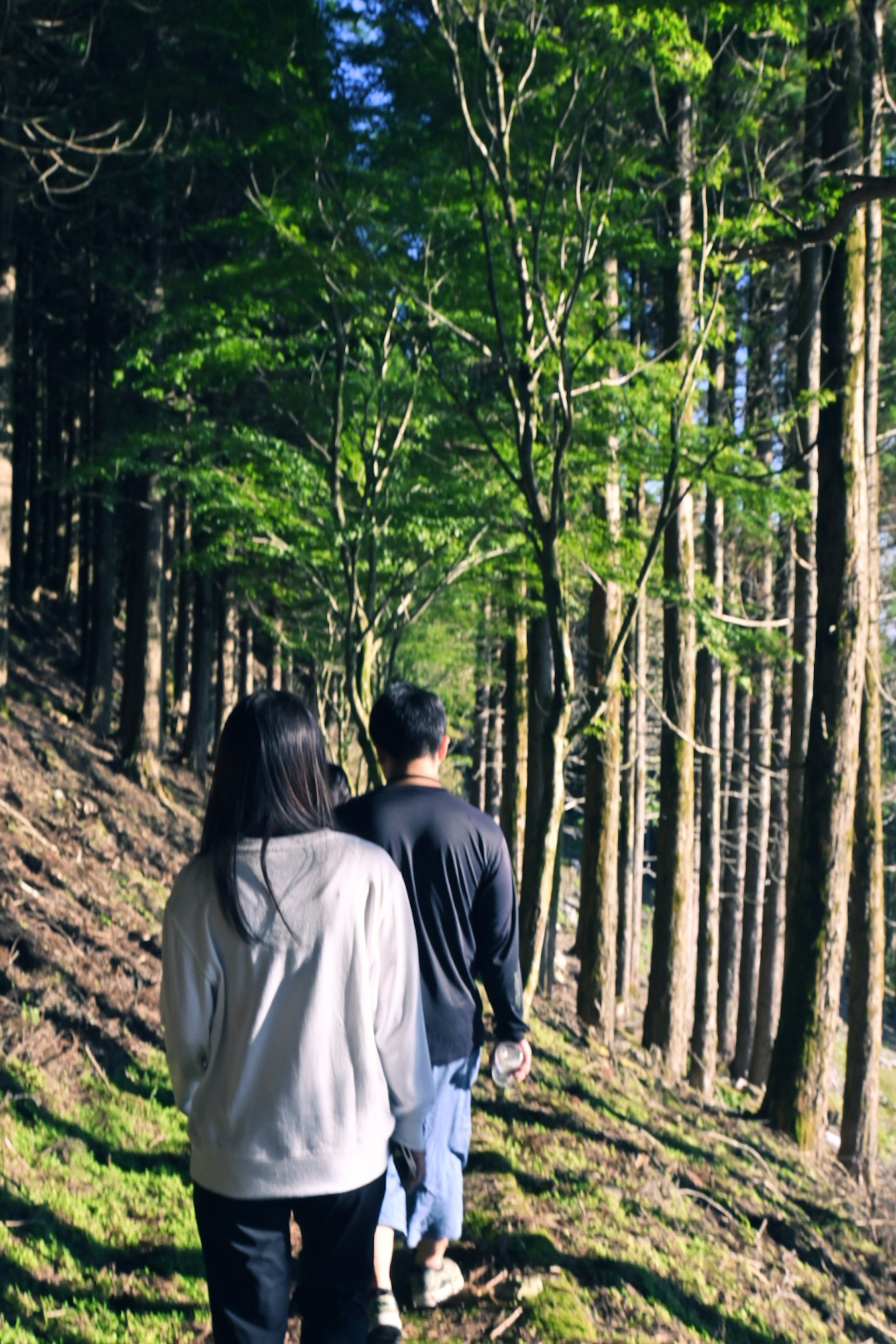 Due persone che camminano in una foresta circondata da alberi verdi
