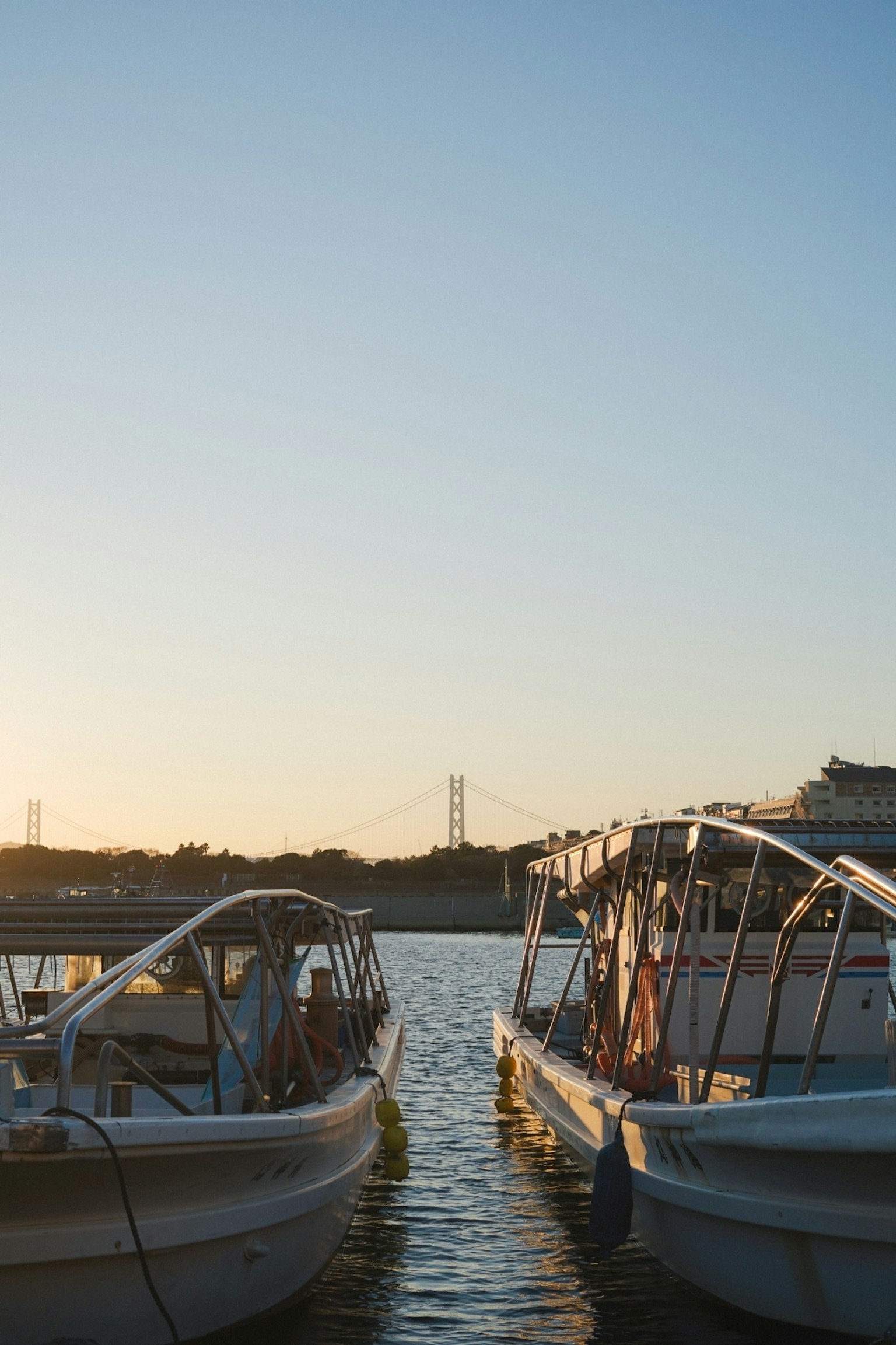 Barche allineate sull'acqua al tramonto