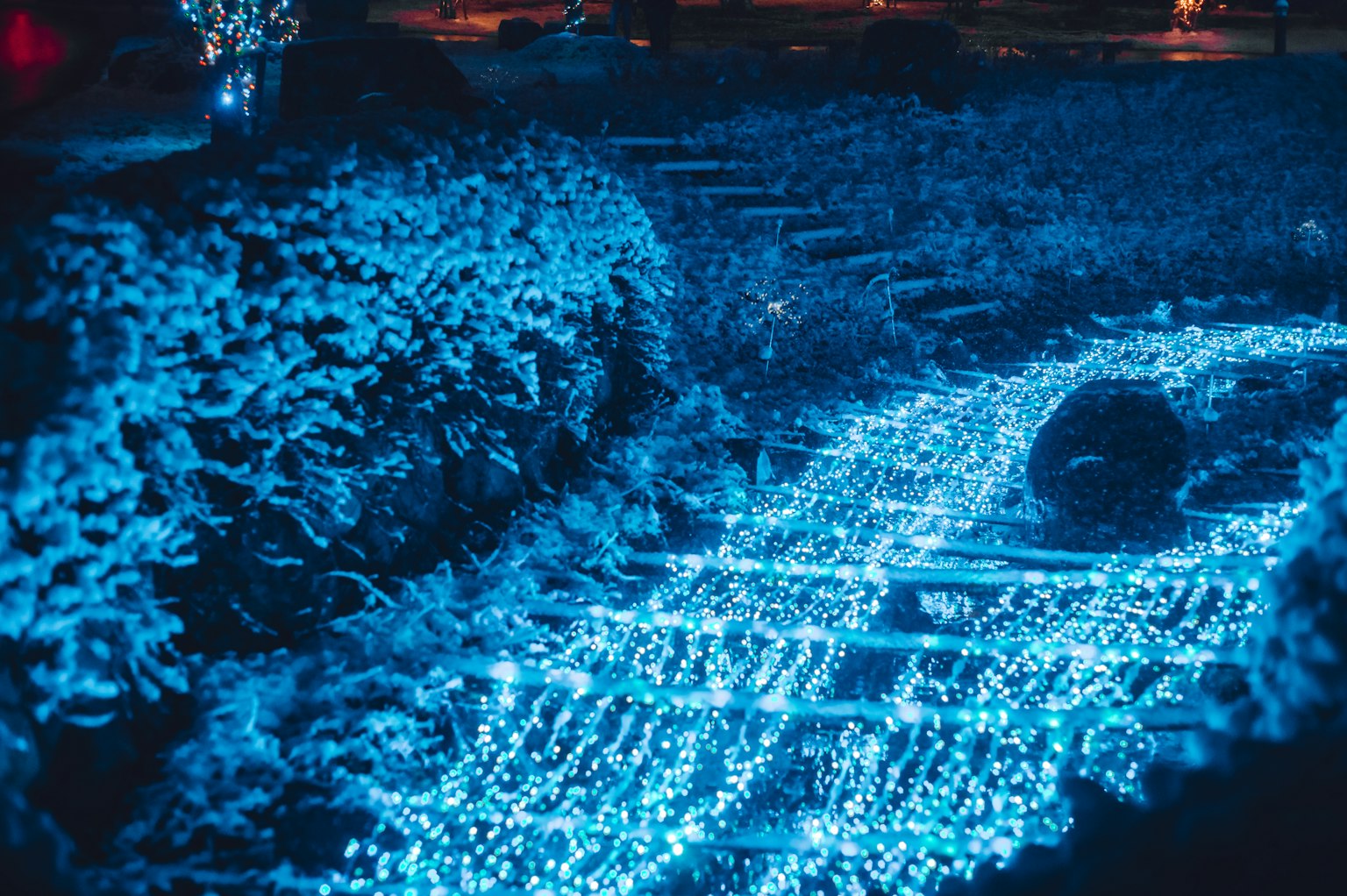 ทางเดินในสวนที่มีแสงสีฟ้าส่องสว่างพร้อมพืชพรรณเขียวขจี