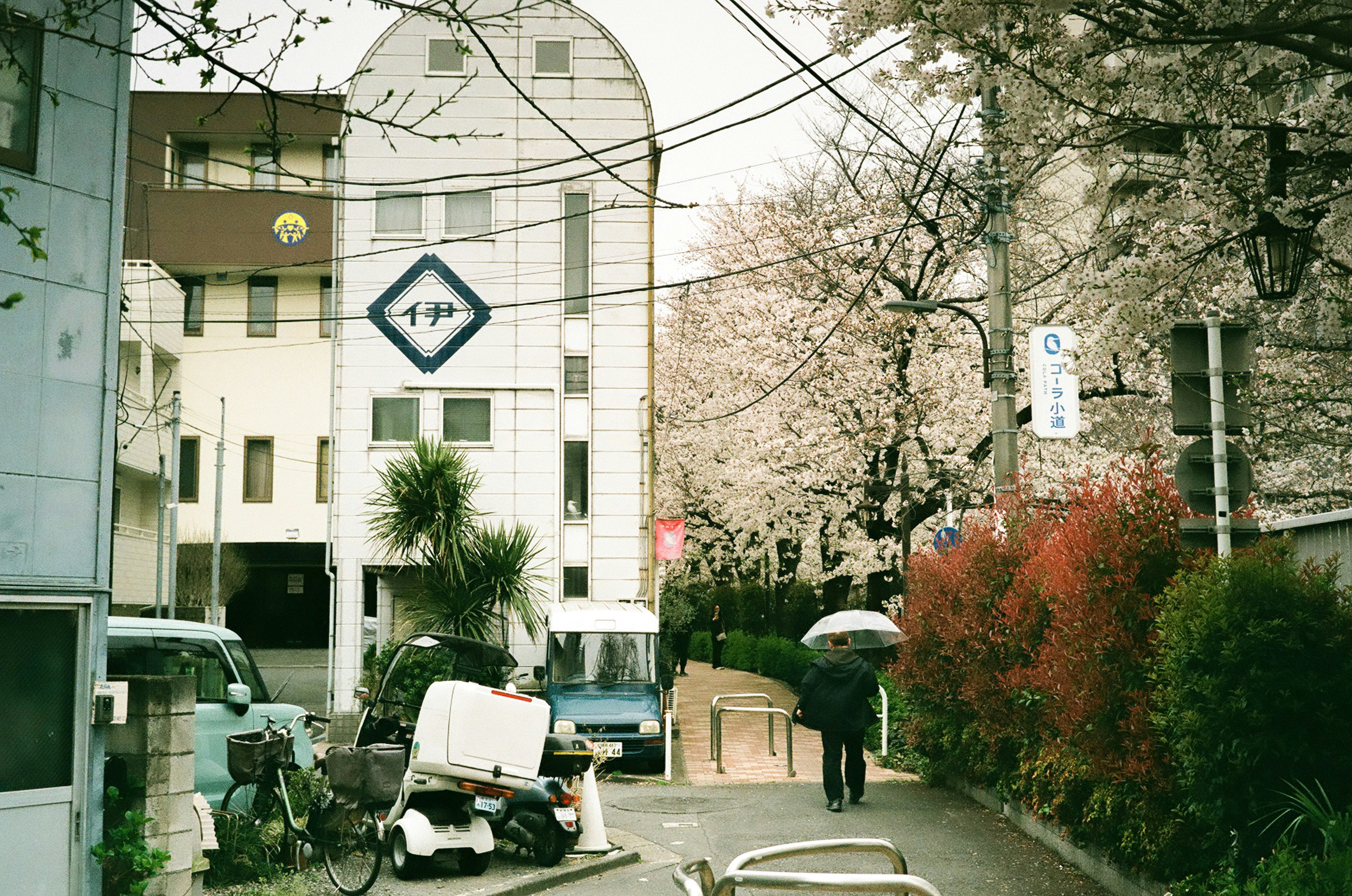 alley scene with cherry blossoms and parked bicycles