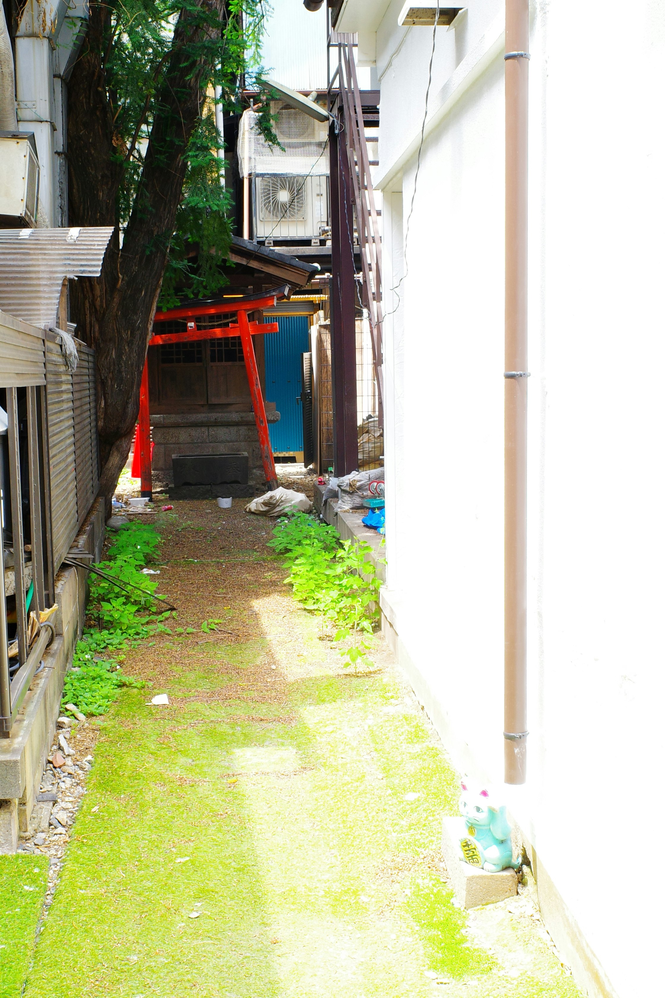 路地の壁際に並ぶ自転車と植栽のある細い通路