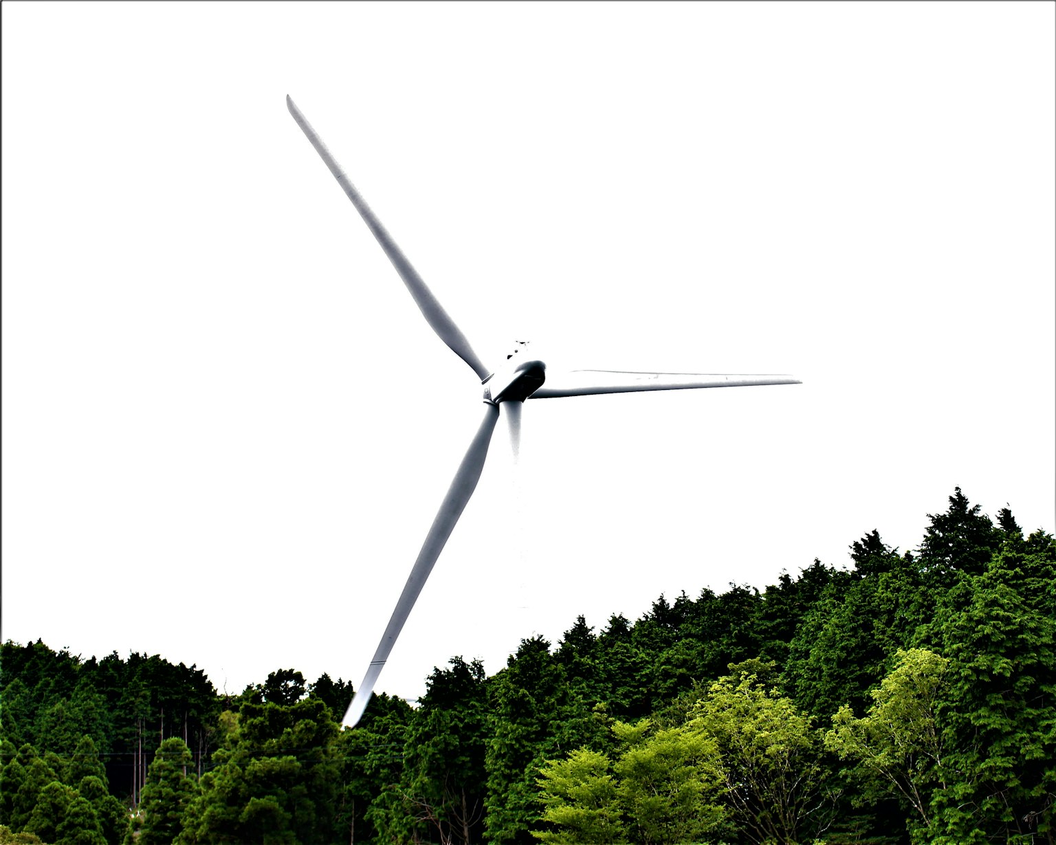 風力発電機が緑豊かな森林の背景に立っている