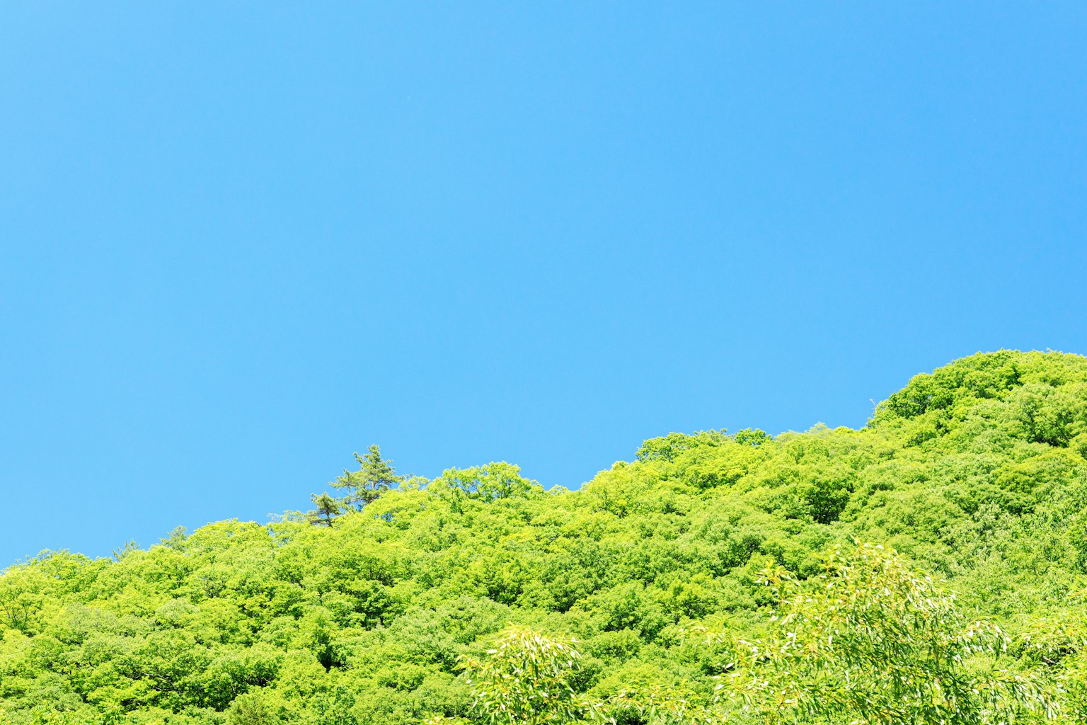 Vista escénica de una colina verde bajo un cielo azul claro