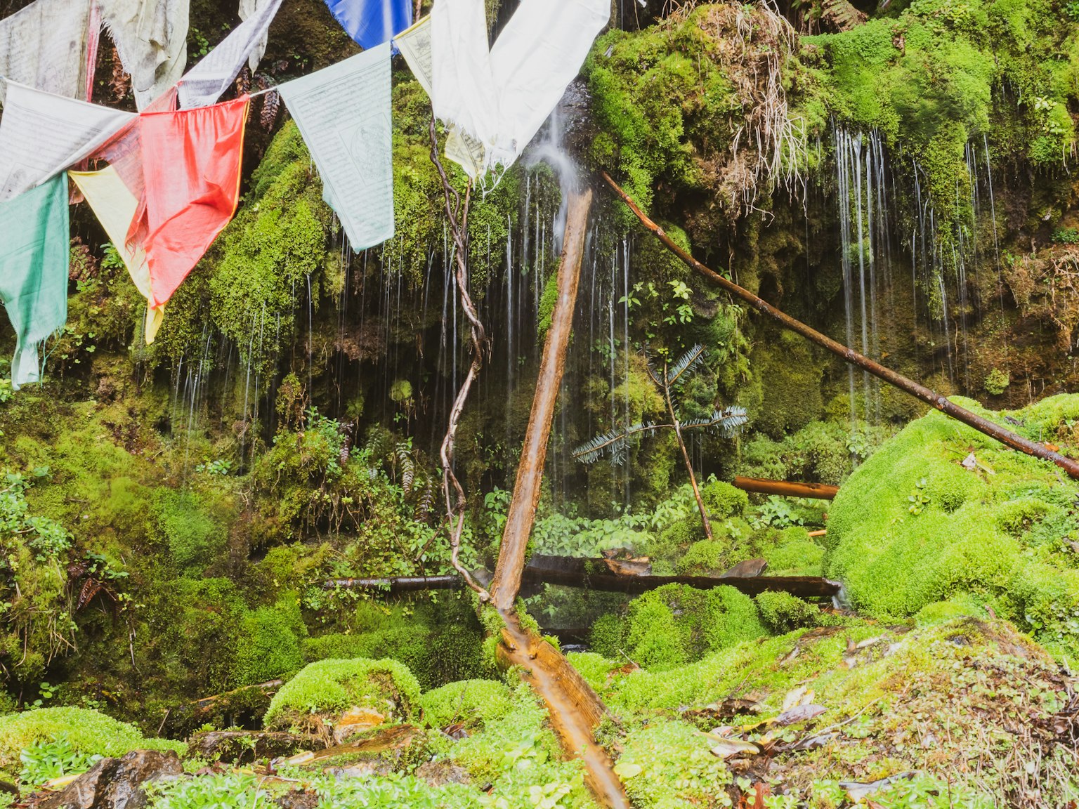 Lussureggiante muschio verde che copre una piccola cascata con bandiere di preghiera colorate nelle vicinanze