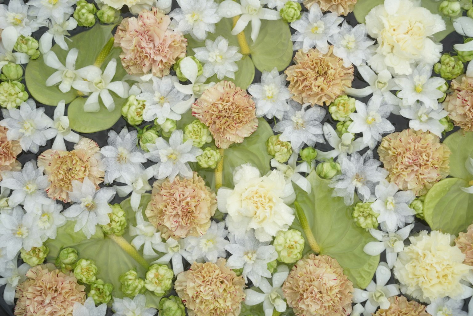 Un bellissimo arrangiamento di fiori e foglie di vari colori