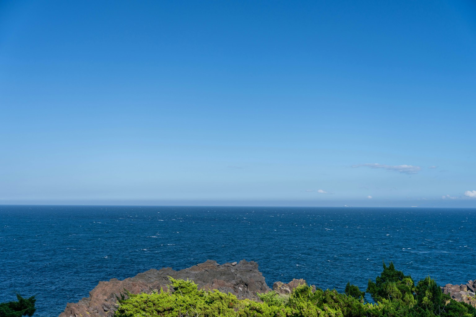 Landscape of blue sky and expansive ocean with rocks and green vegetation