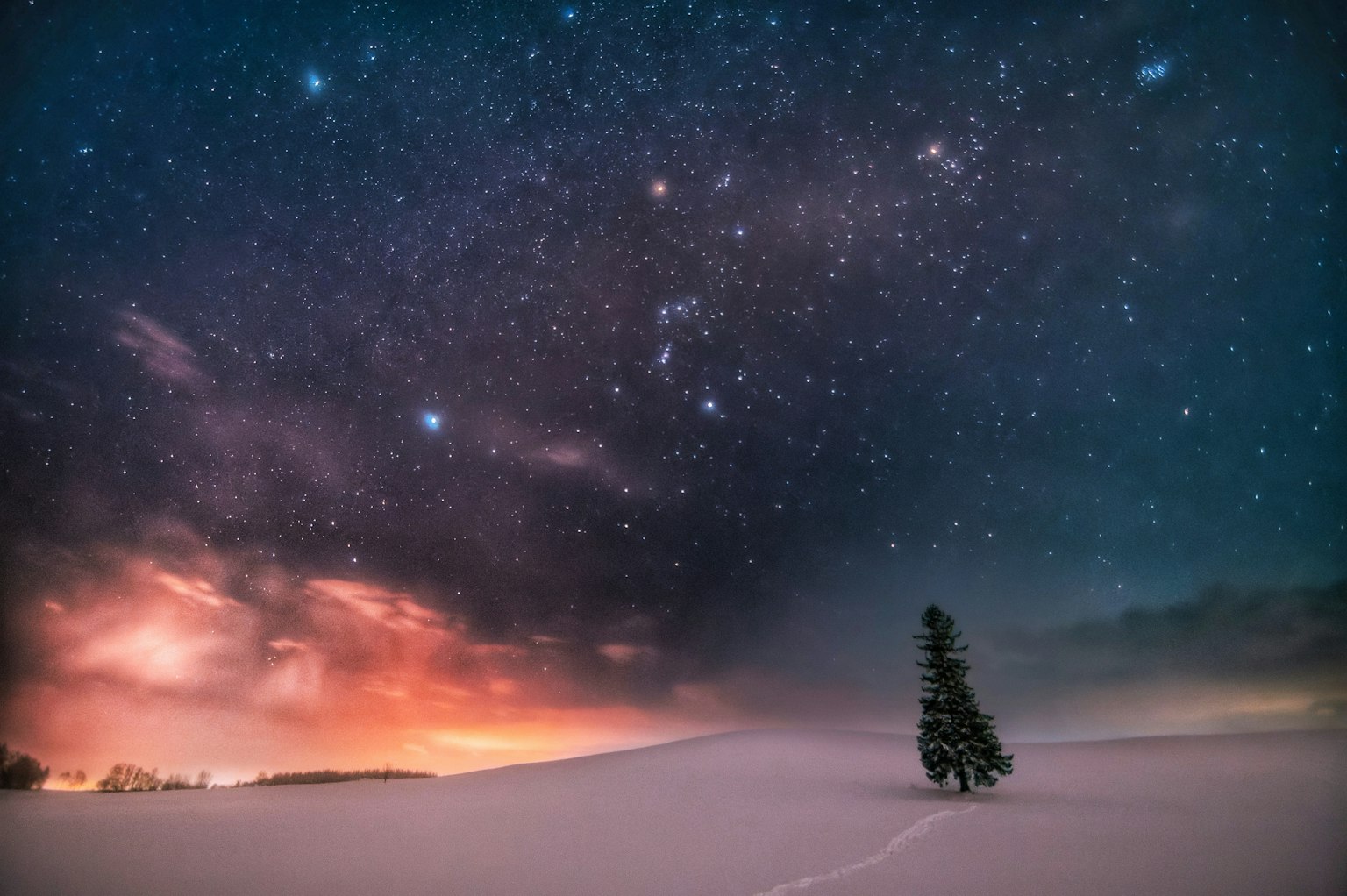 Un arbre solitaire dans un paysage enneigé sous un ciel étoilé