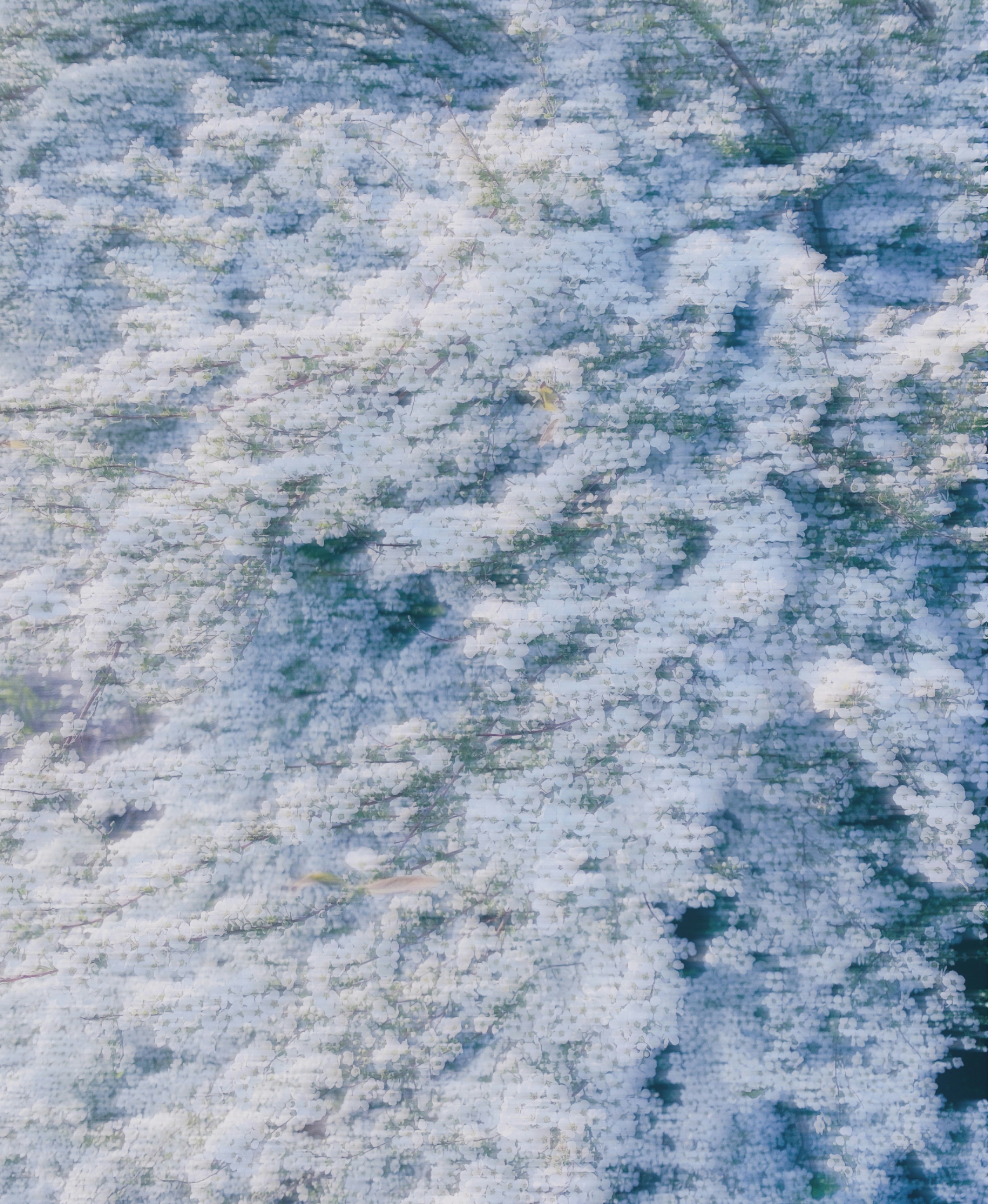 fond abstrait de texture bleu ciel et nuages