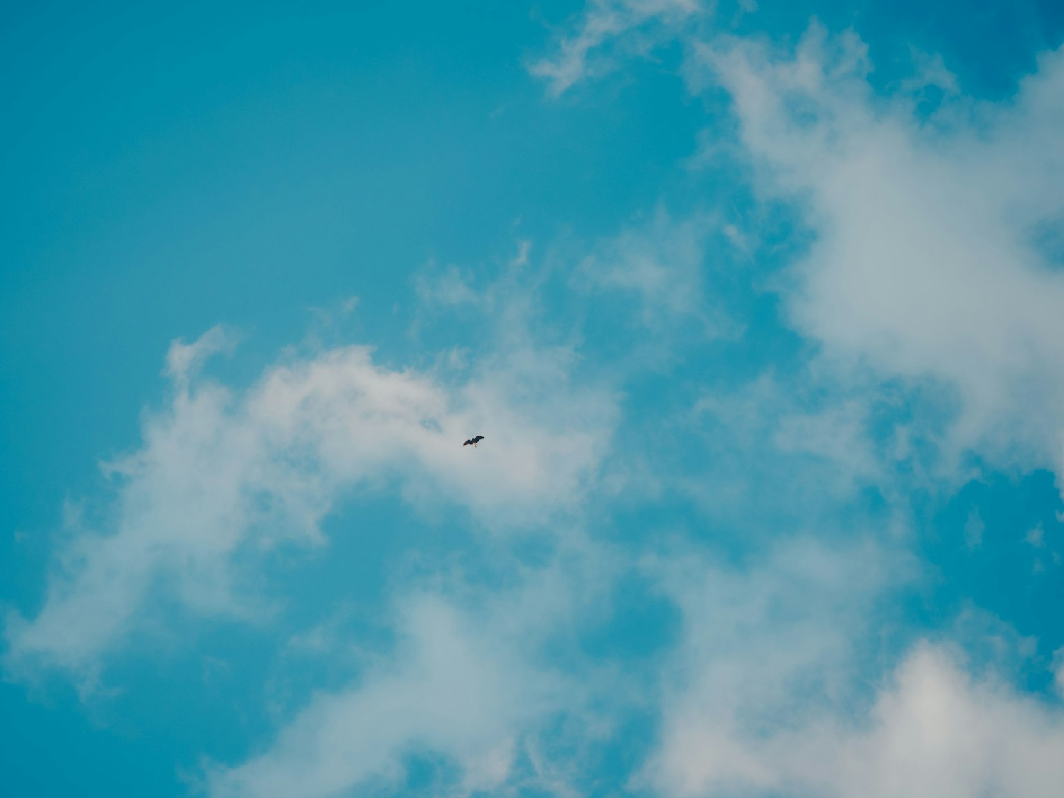 A small airplane flying in a blue sky with fluffy clouds