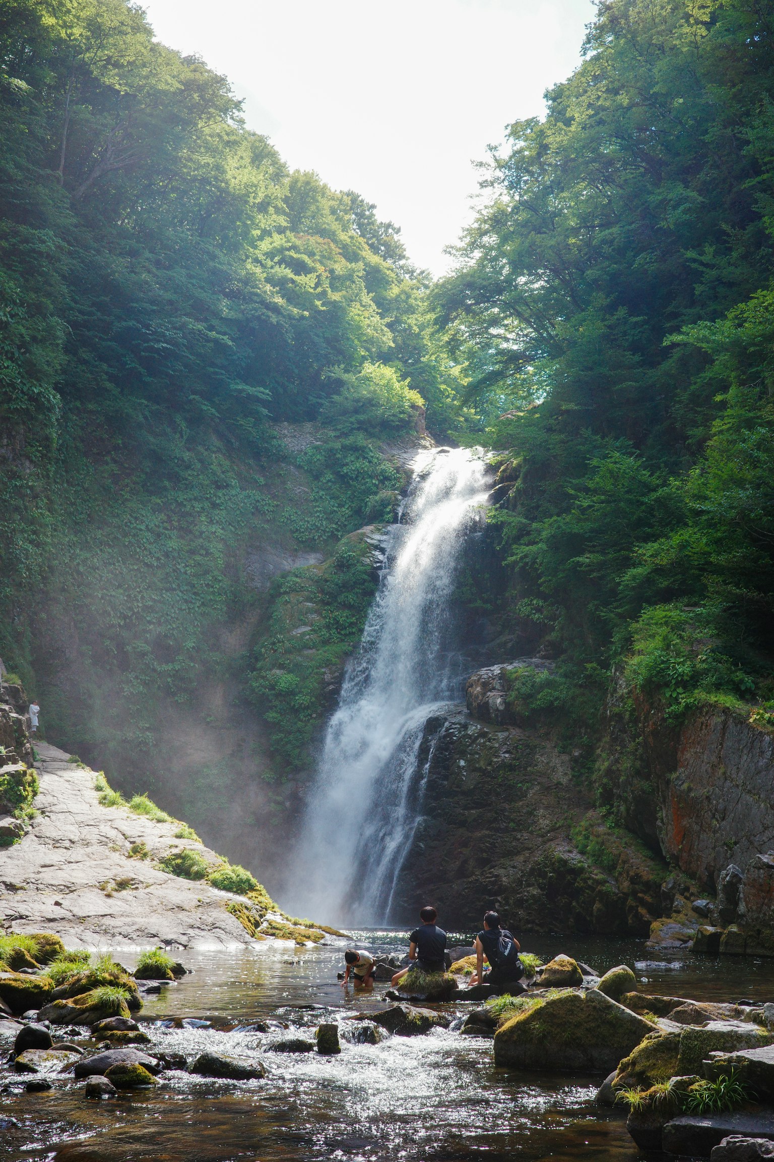 น้ำตกที่สวยงามในป่าที่เขียวชอุ่มพร้อมกับหมอกและแม่น้ำที่สงบ