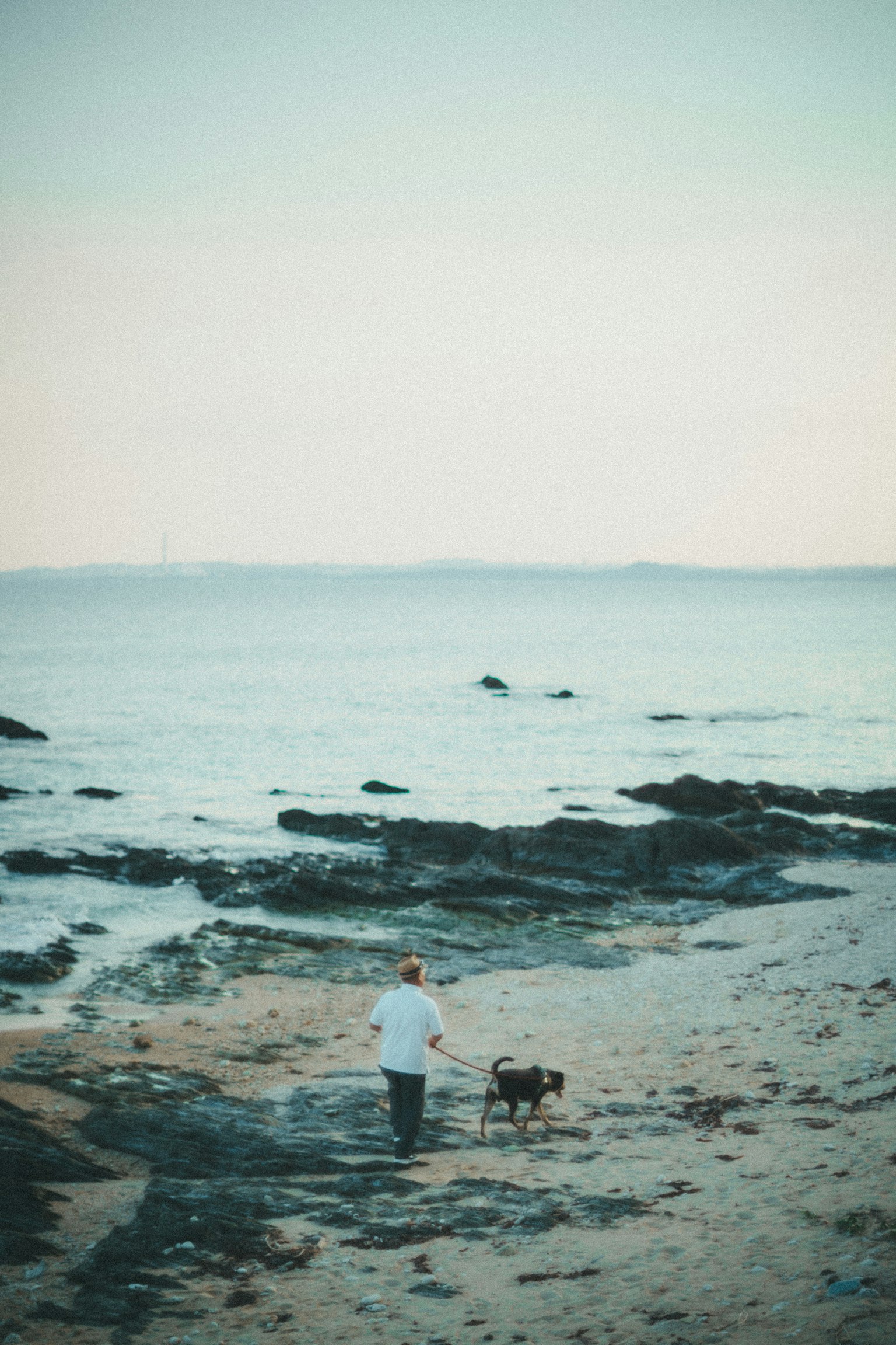 Persona paseando un perro por la playa