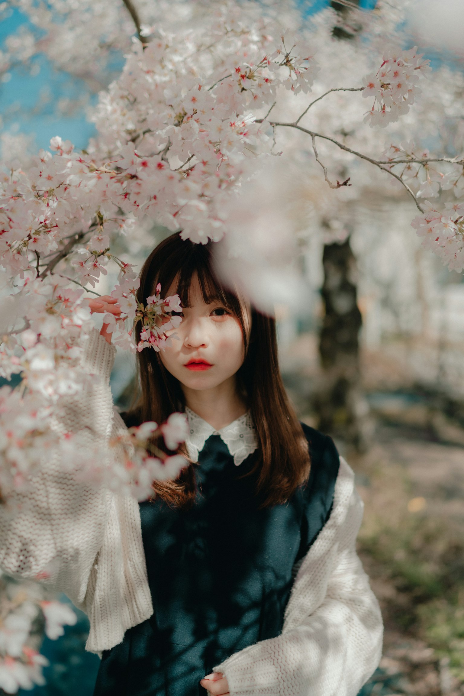 樱花中的年轻女性注视着镜头 蓝天和模糊的背景