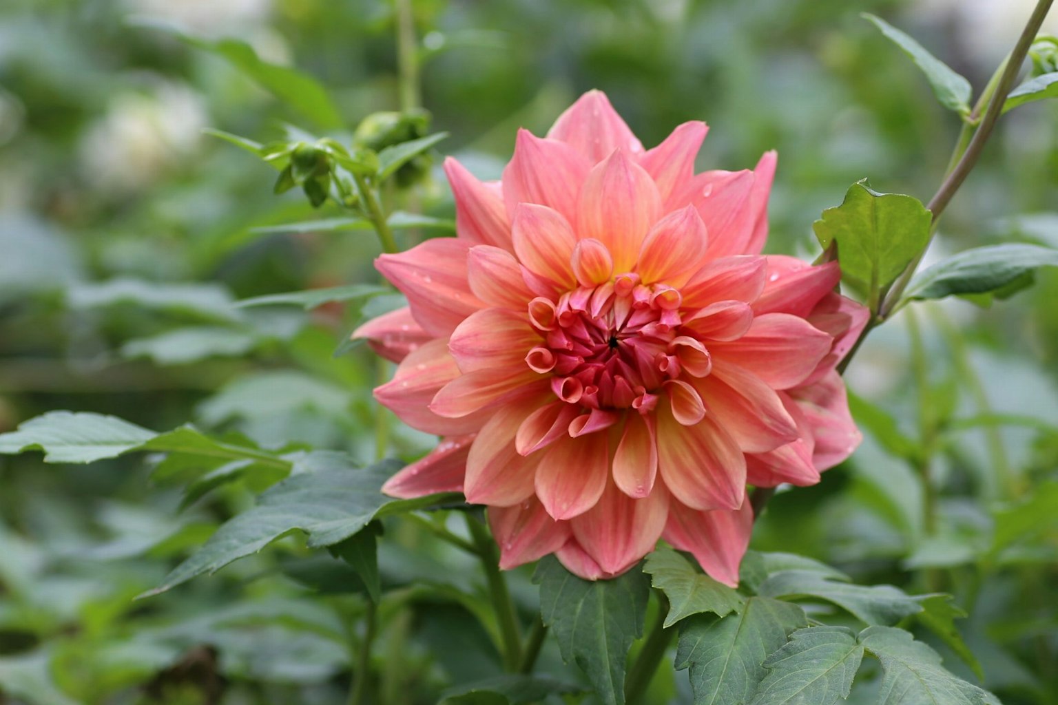 photo-m0E2ZIE6ru6L4IBESpst-image