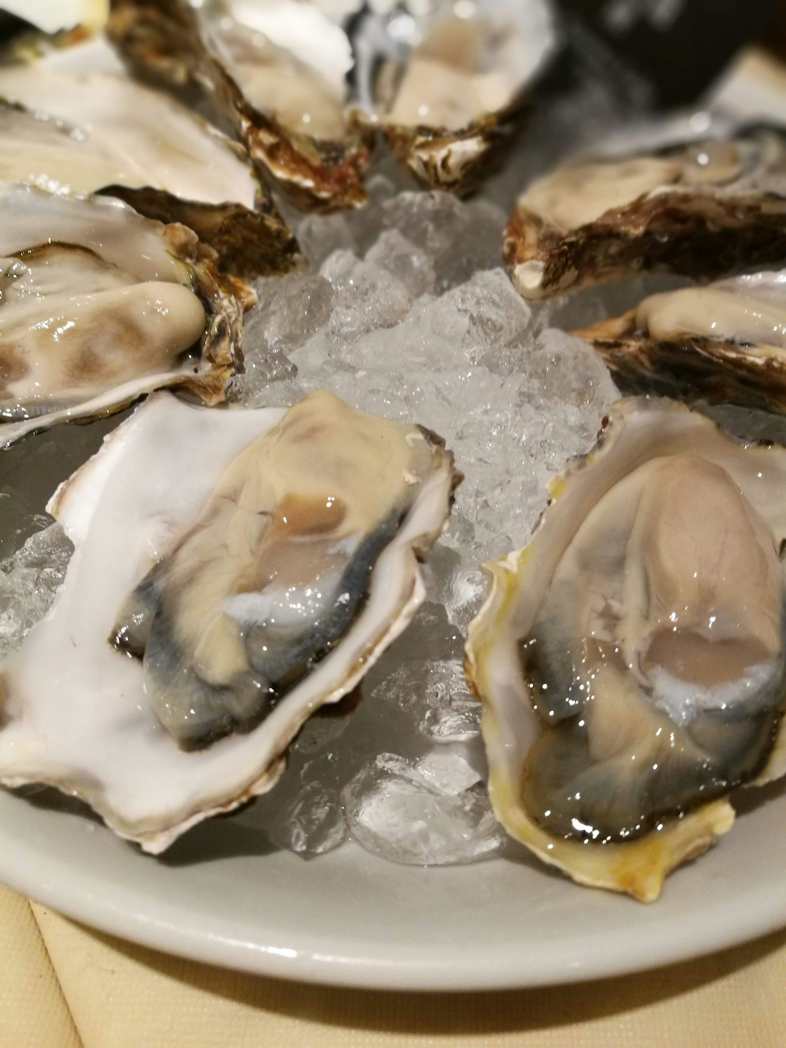 A plate of fresh oysters arranged on ice