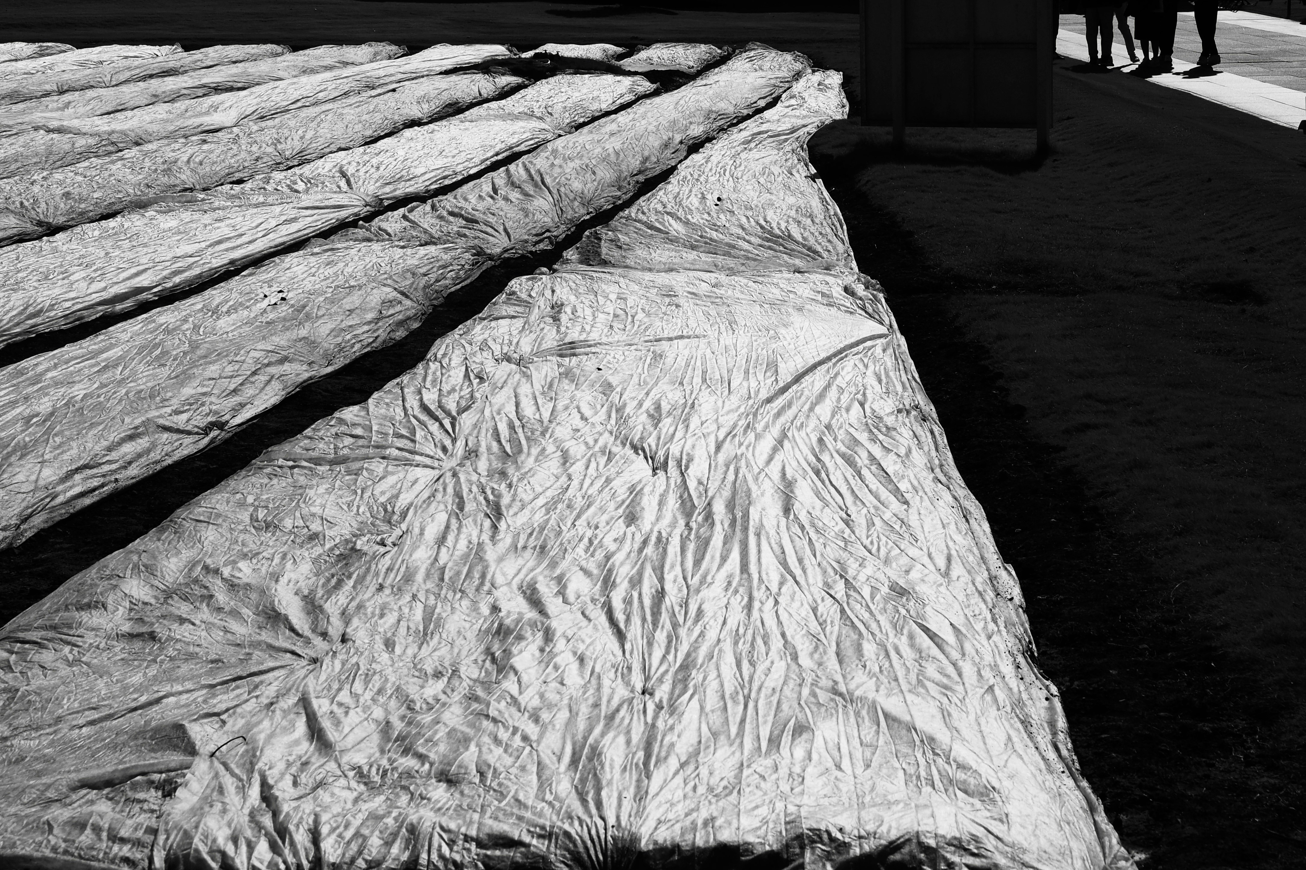 冬のトンネルを備えた田畑の防寒用シート