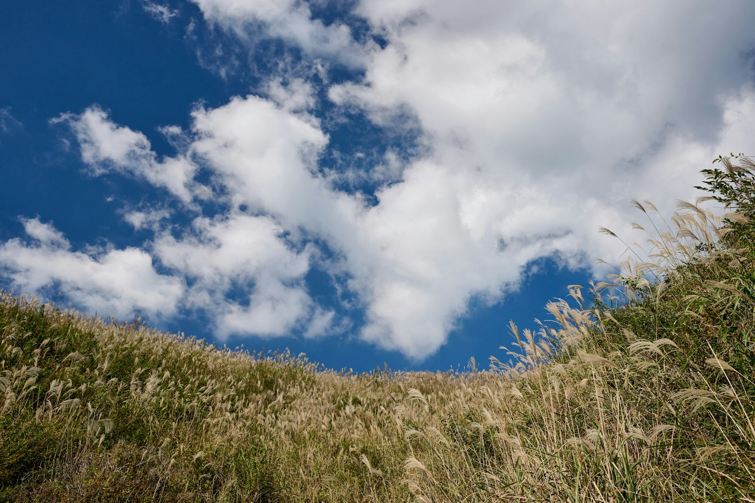 Un paisaje de colinas cubiertas de hierba bajo un cielo azul con nubes blancas