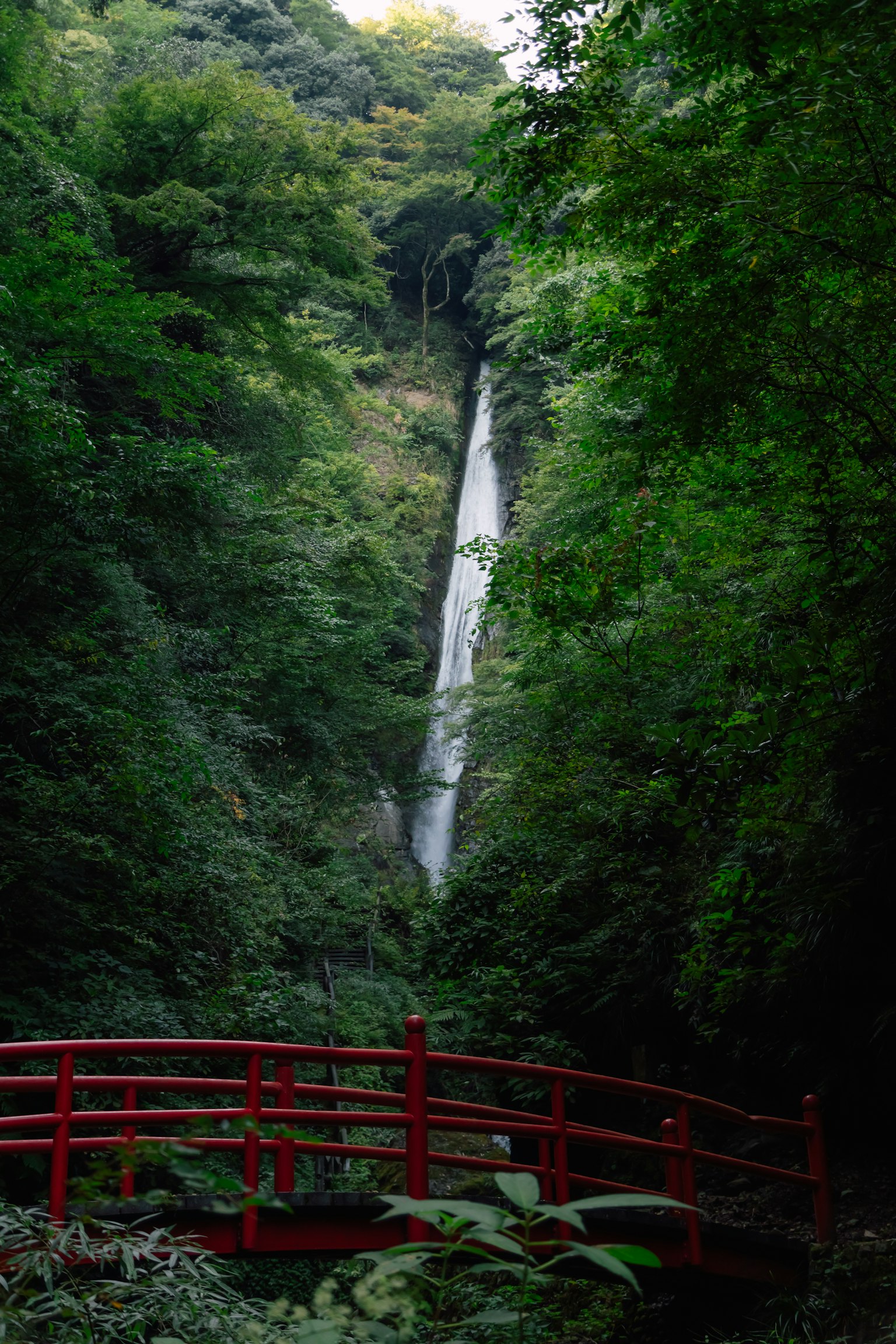 周围环绕着郁郁葱葱绿植的瀑布景观和红桥