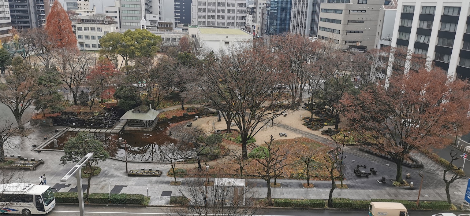 城市公园的冬季景观 光秃的树木和可见的草地