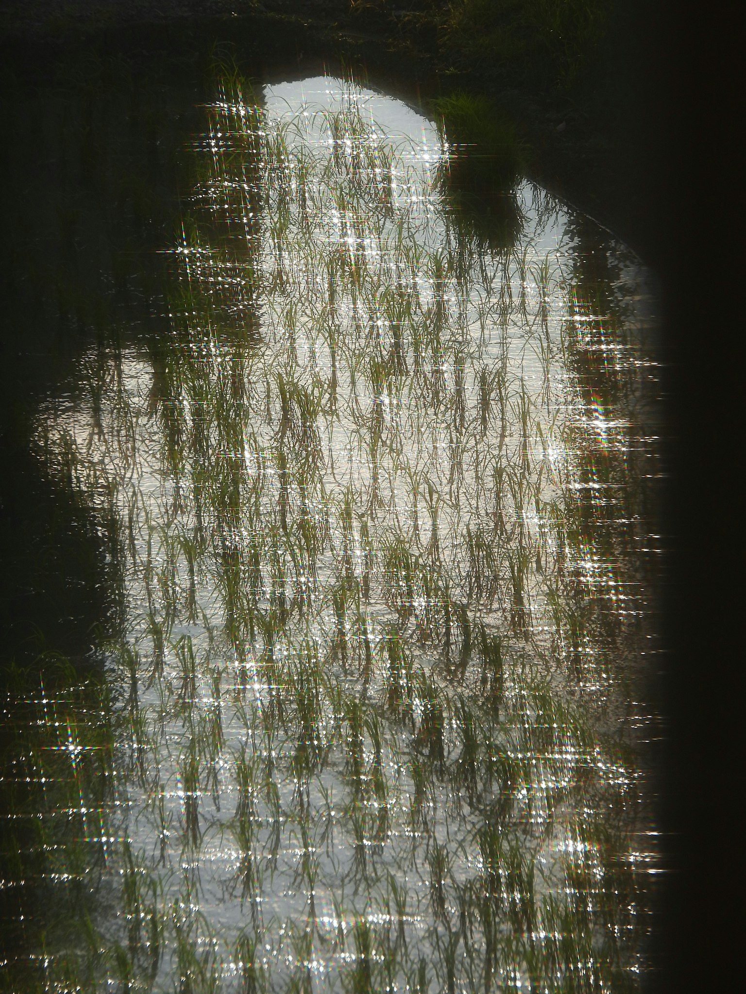 photo-m2A7B7aCITMCEfX0fCRf-image